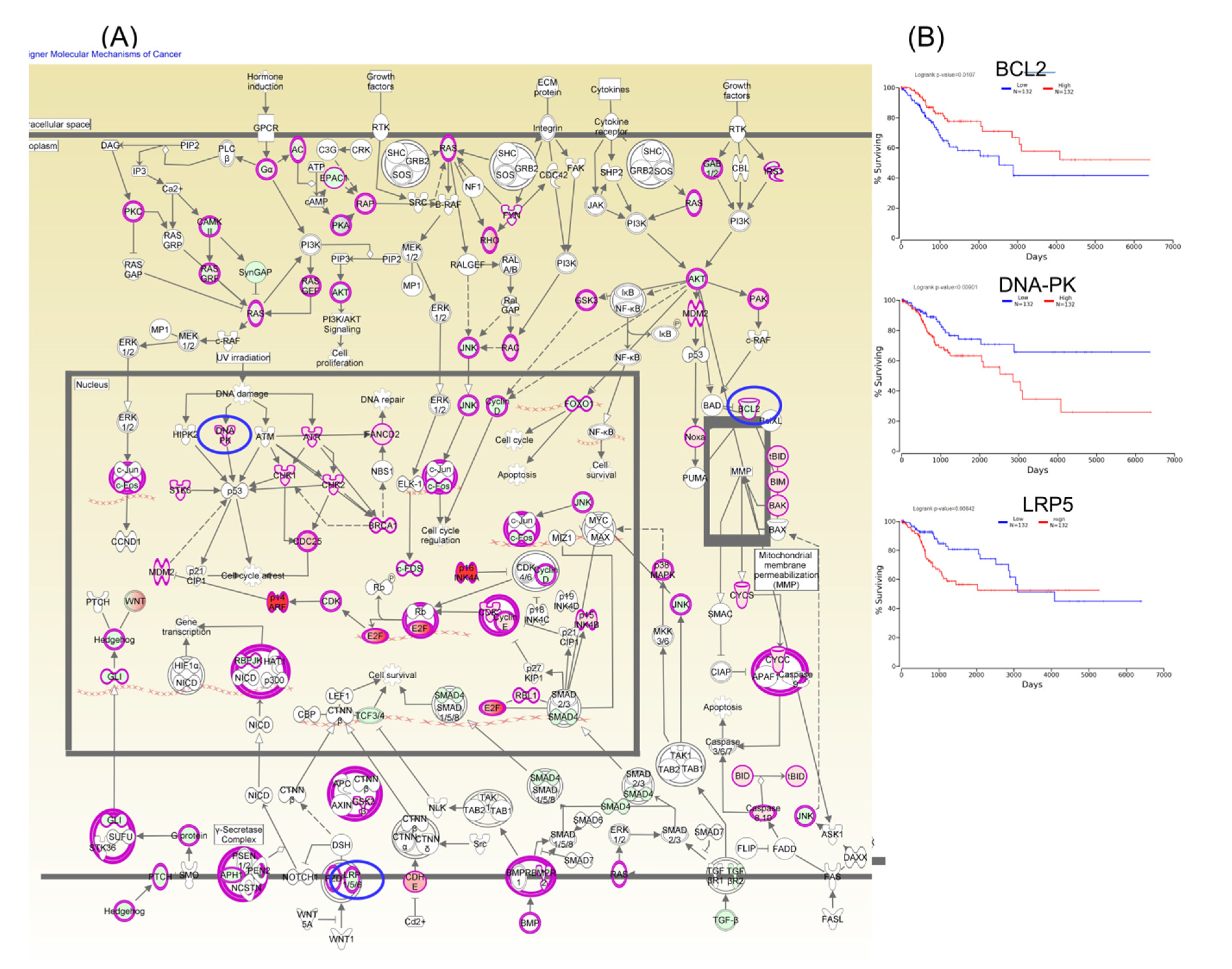 Ijms 21 07323 g006 Ijms 21 07323 g006
