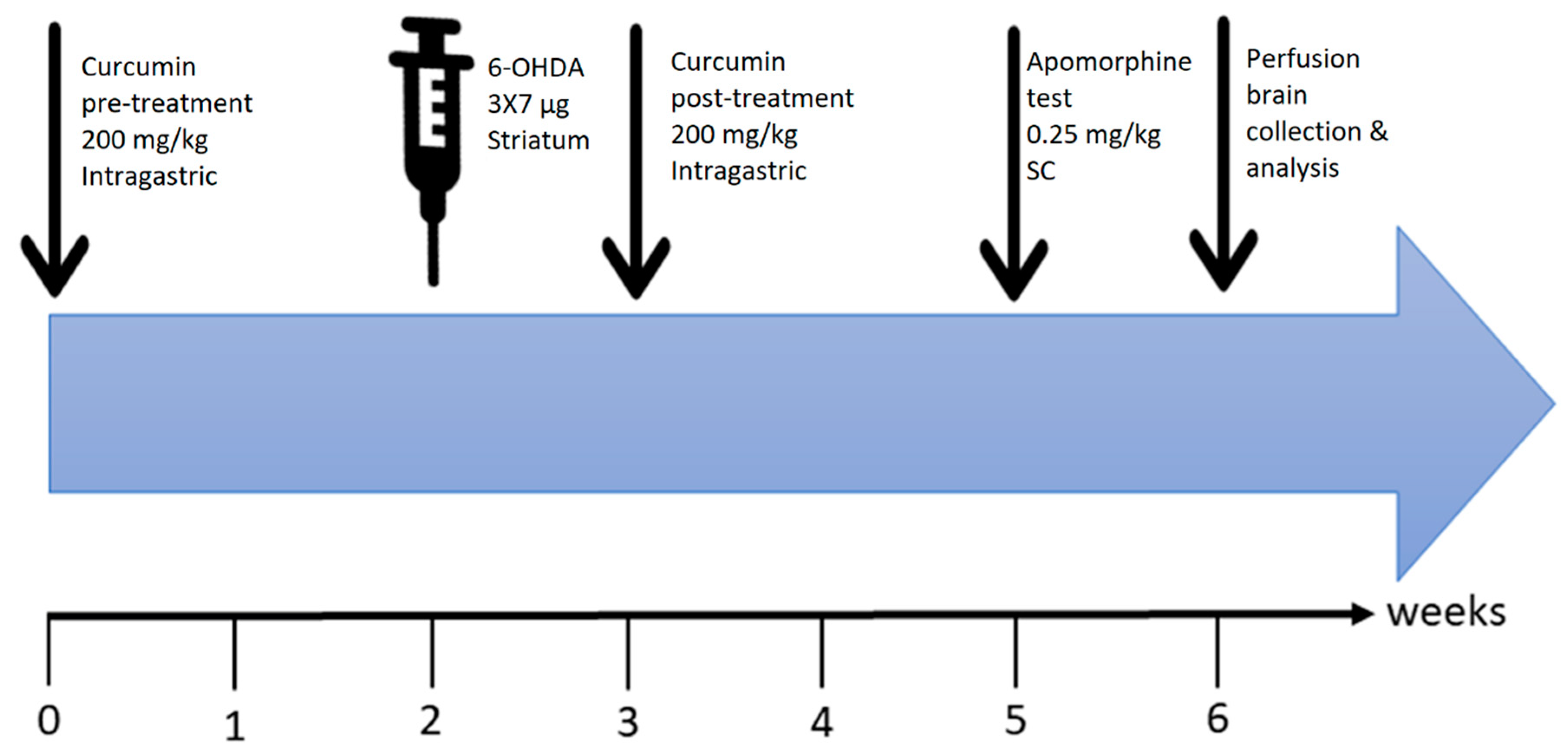 Ijms 21 07329 g008 Ijms 21 07329 g008
