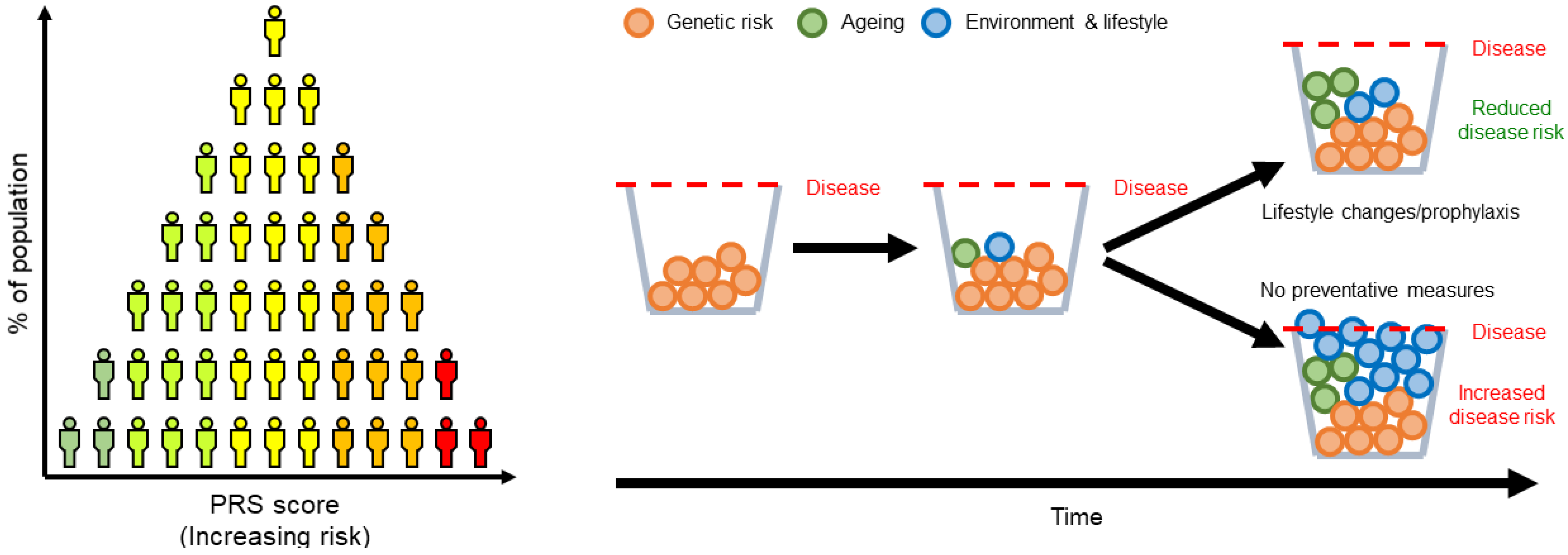 Risks Associated With Genetics Research Are Best Described As Genetic Risk Profiling in Parkinson’s Disease and Utilizing Genetics to