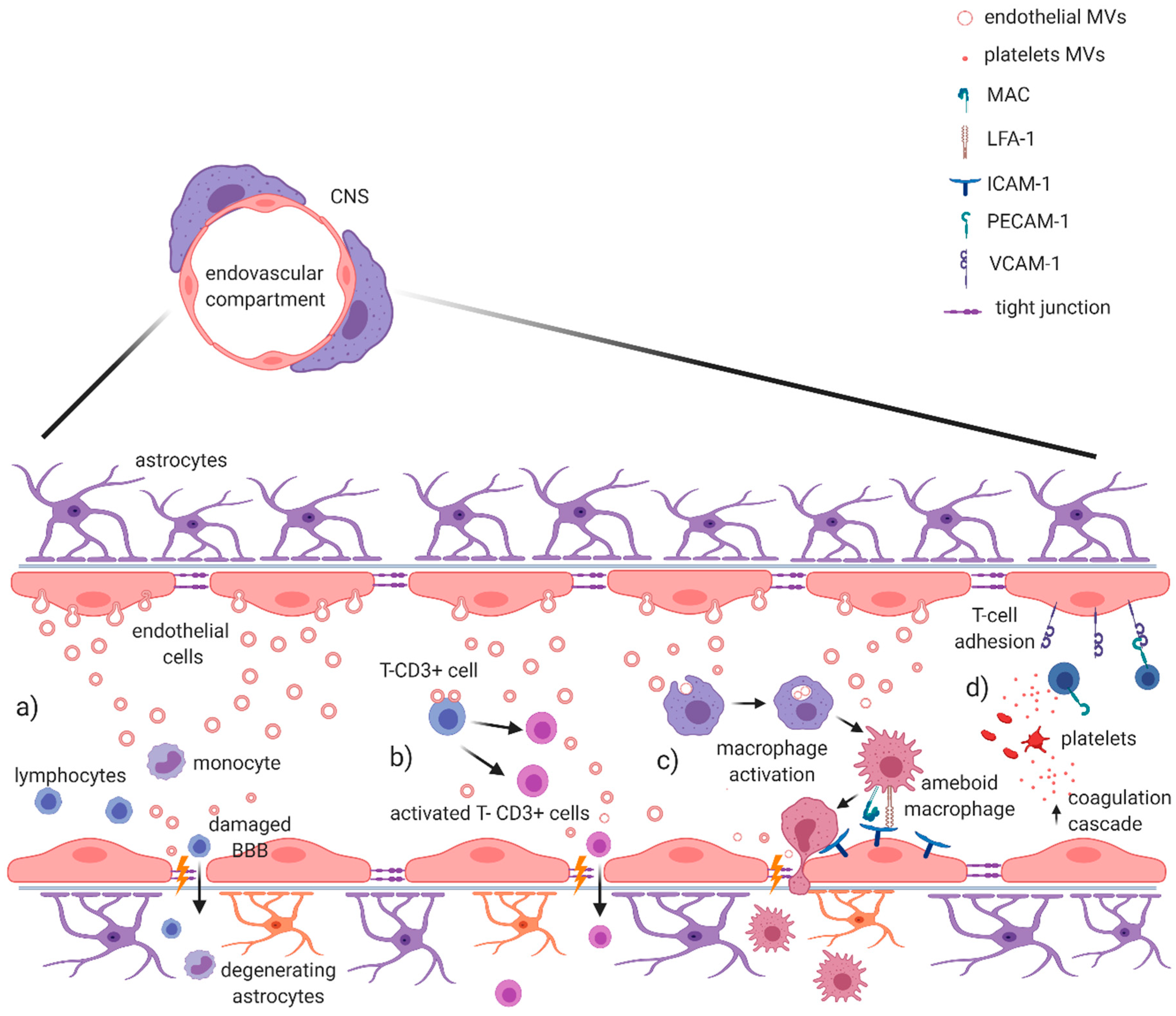 Ijms 21 07336 g001 Ijms 21 07336 g001