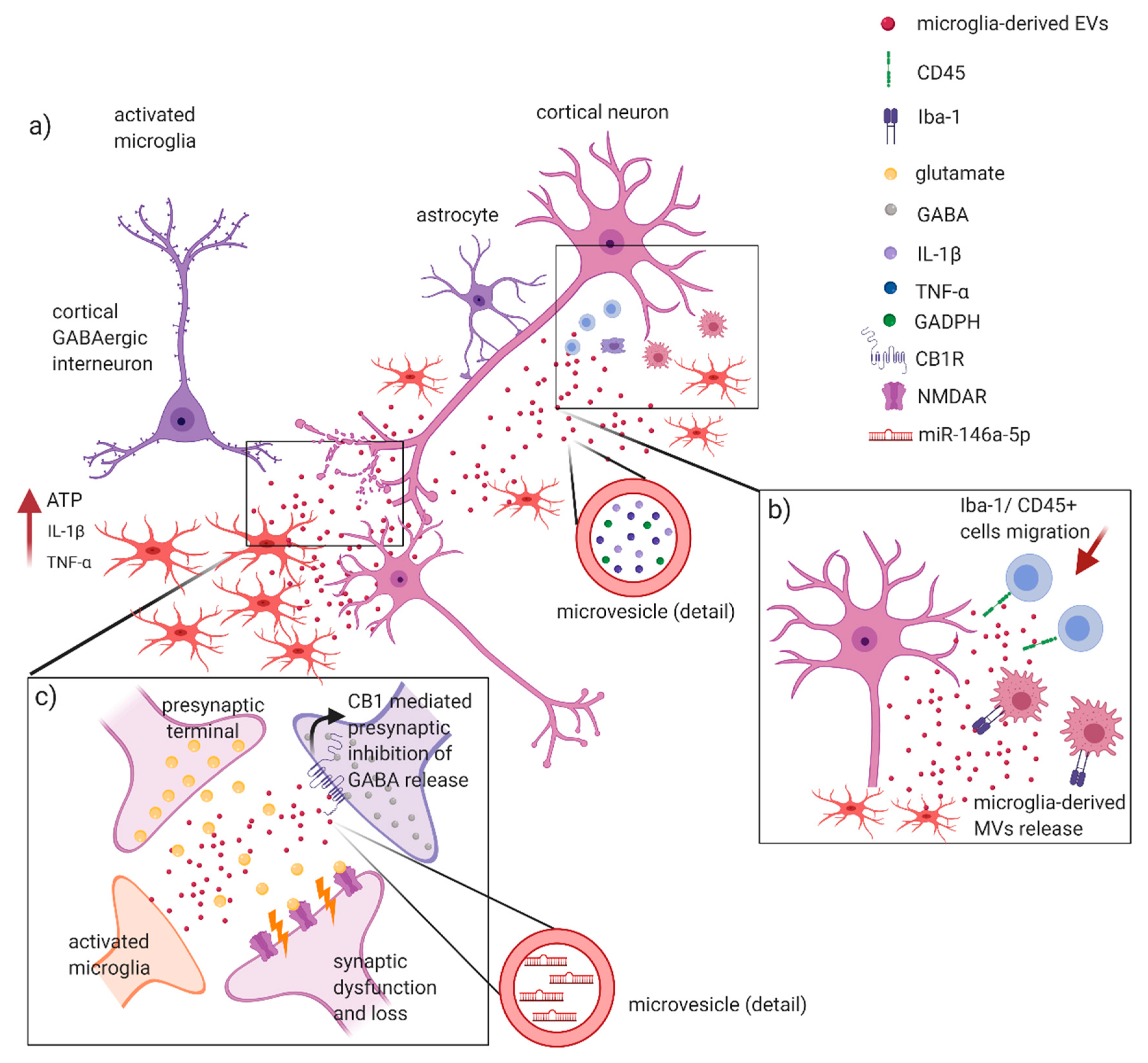 Ijms 21 07336 g002 Ijms 21 07336 g002