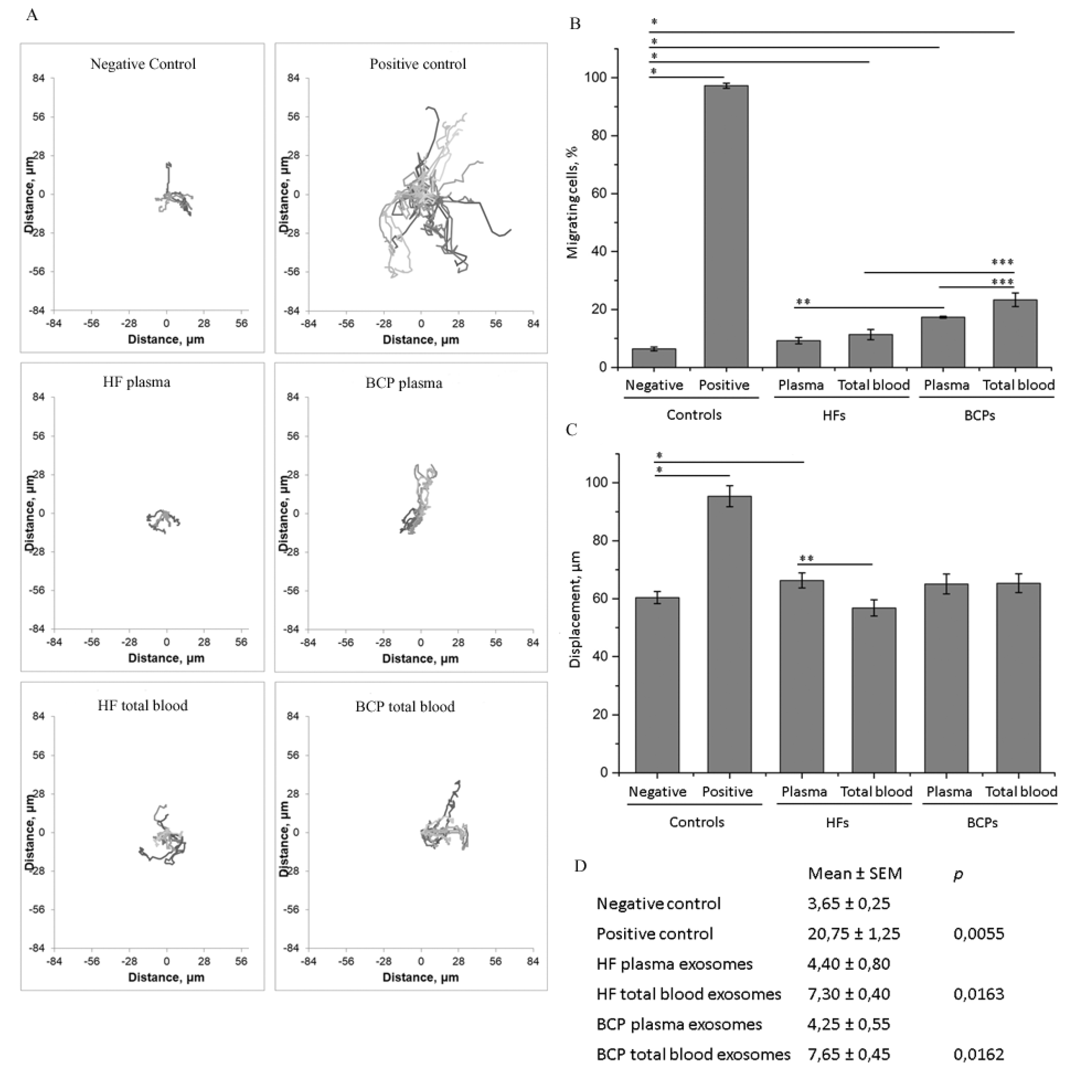 Ijms 21 07341 g004 Ijms 21 07341 g004