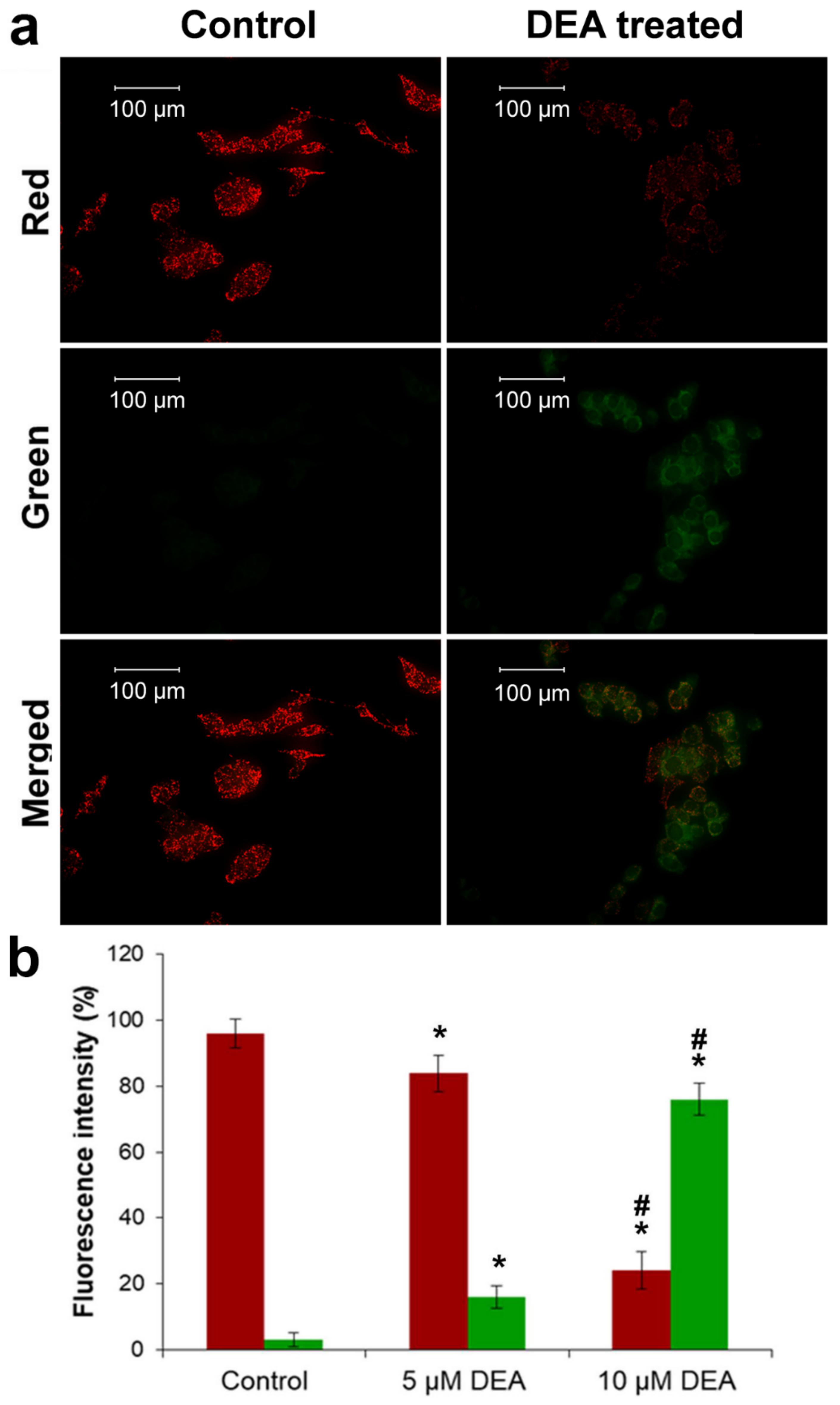 Ijms 21 07346 g002 Ijms 21 07346 g002
