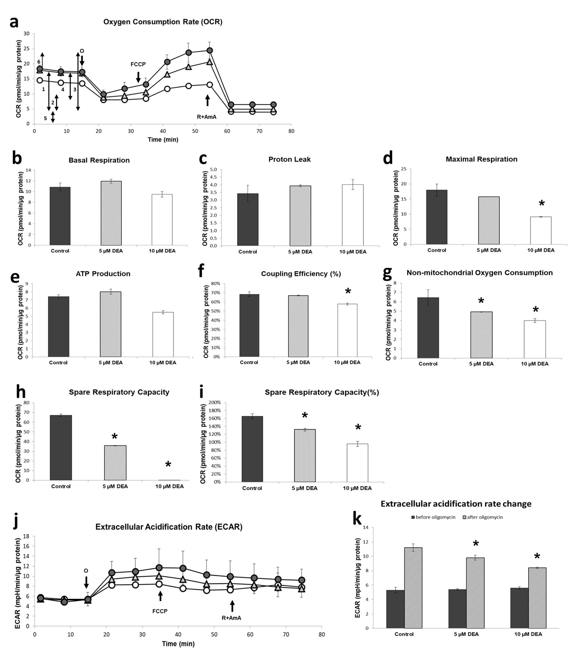 Ijms 21 07346 g004 Ijms 21 07346 g004