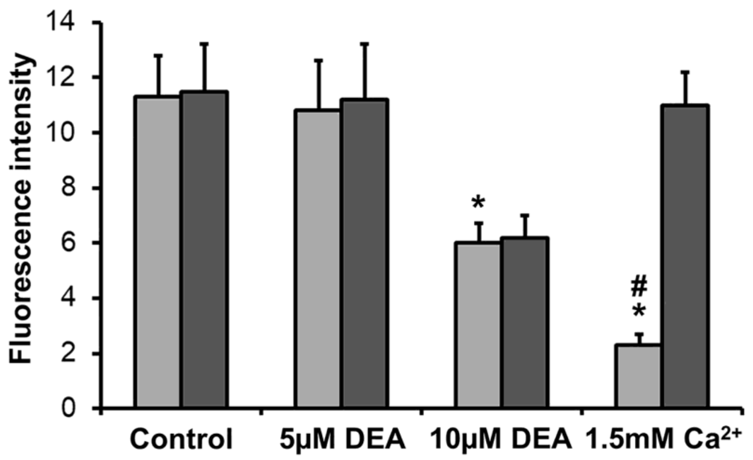 Ijms 21 07346 g005 Ijms 21 07346 g005