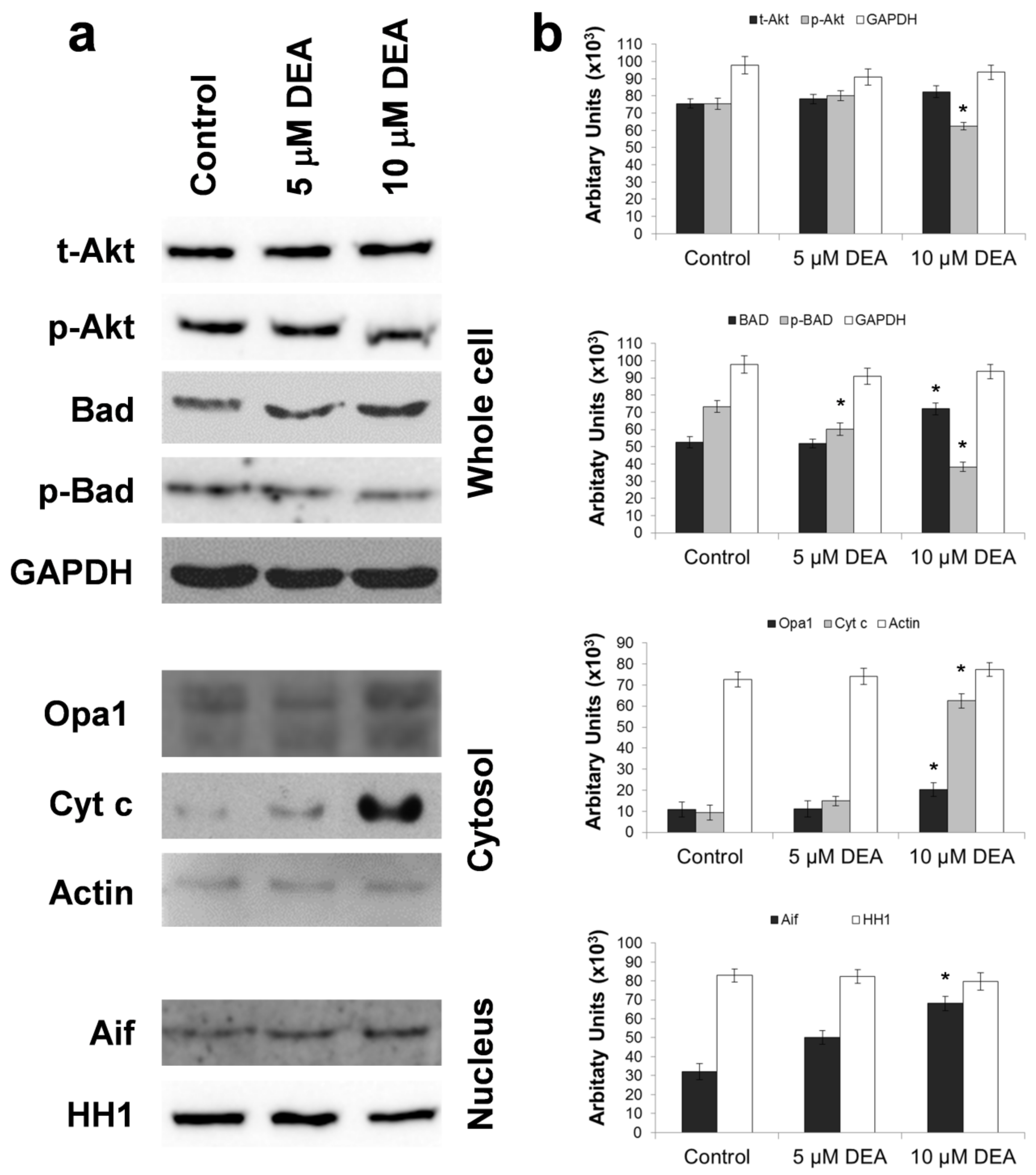 Ijms 21 07346 g006 Ijms 21 07346 g006