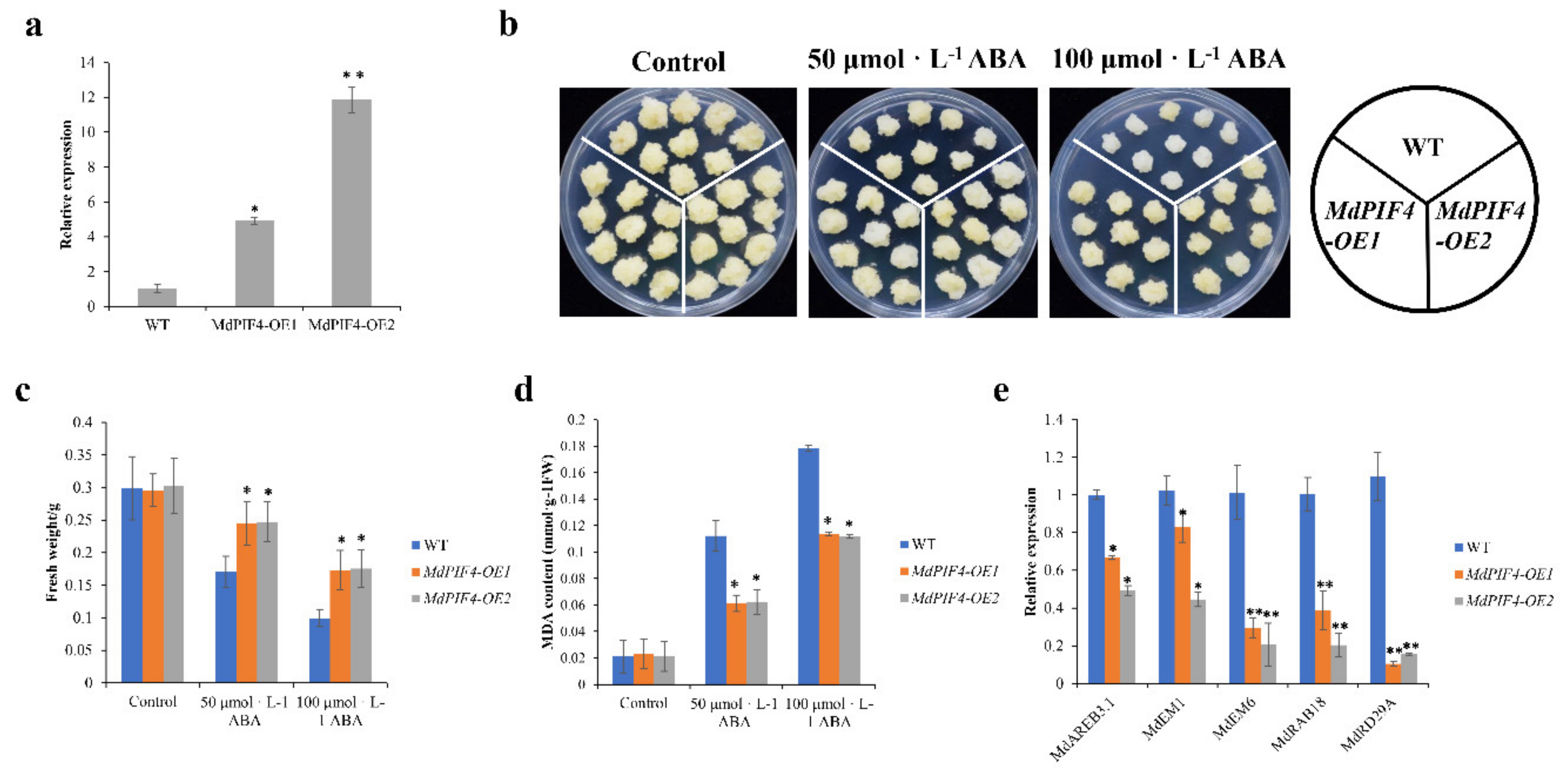 Ijms 21 07350 g007 Ijms 21 07350 g007