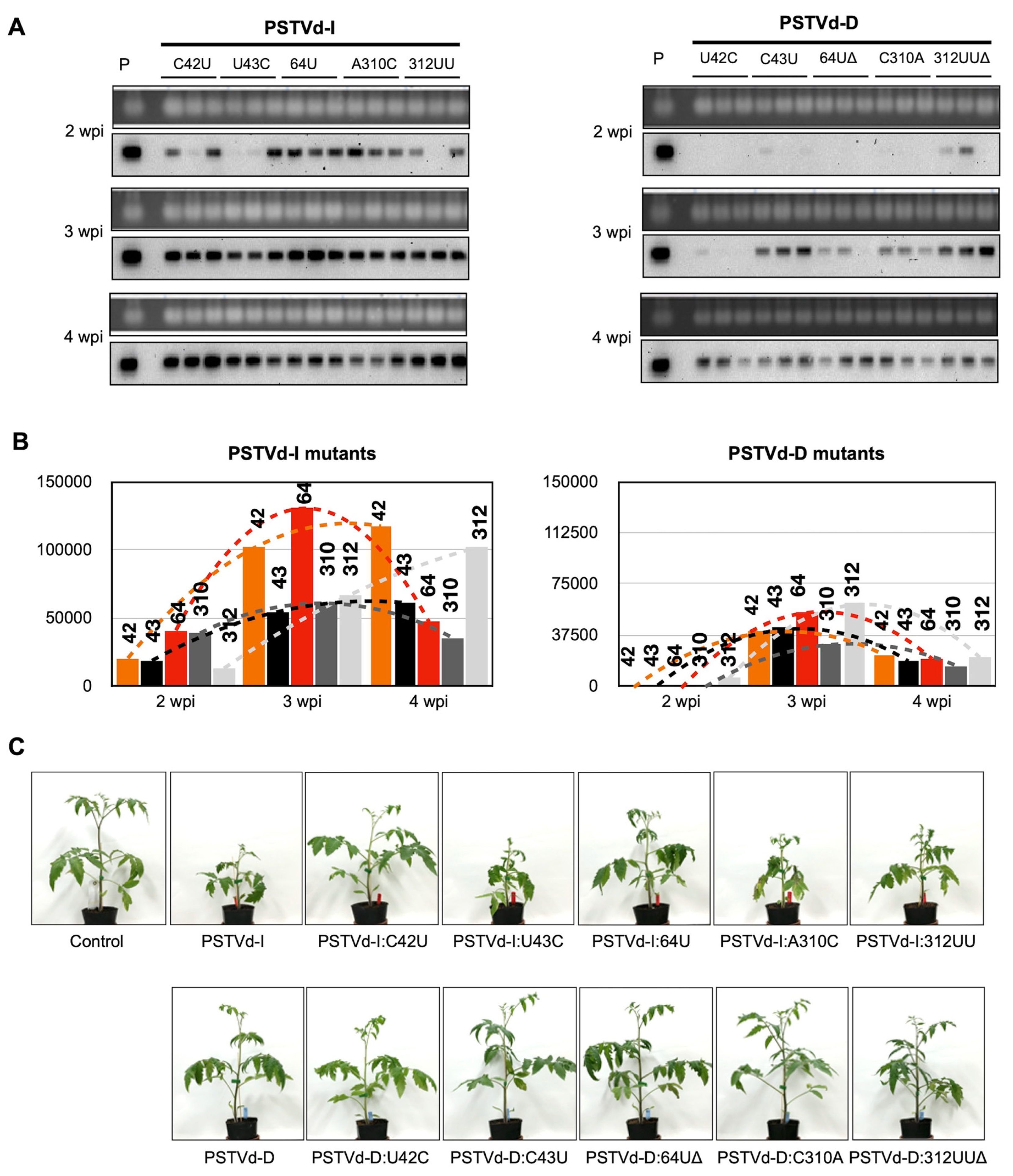 Ijms 21 07352 g001 Ijms 21 07352 g001