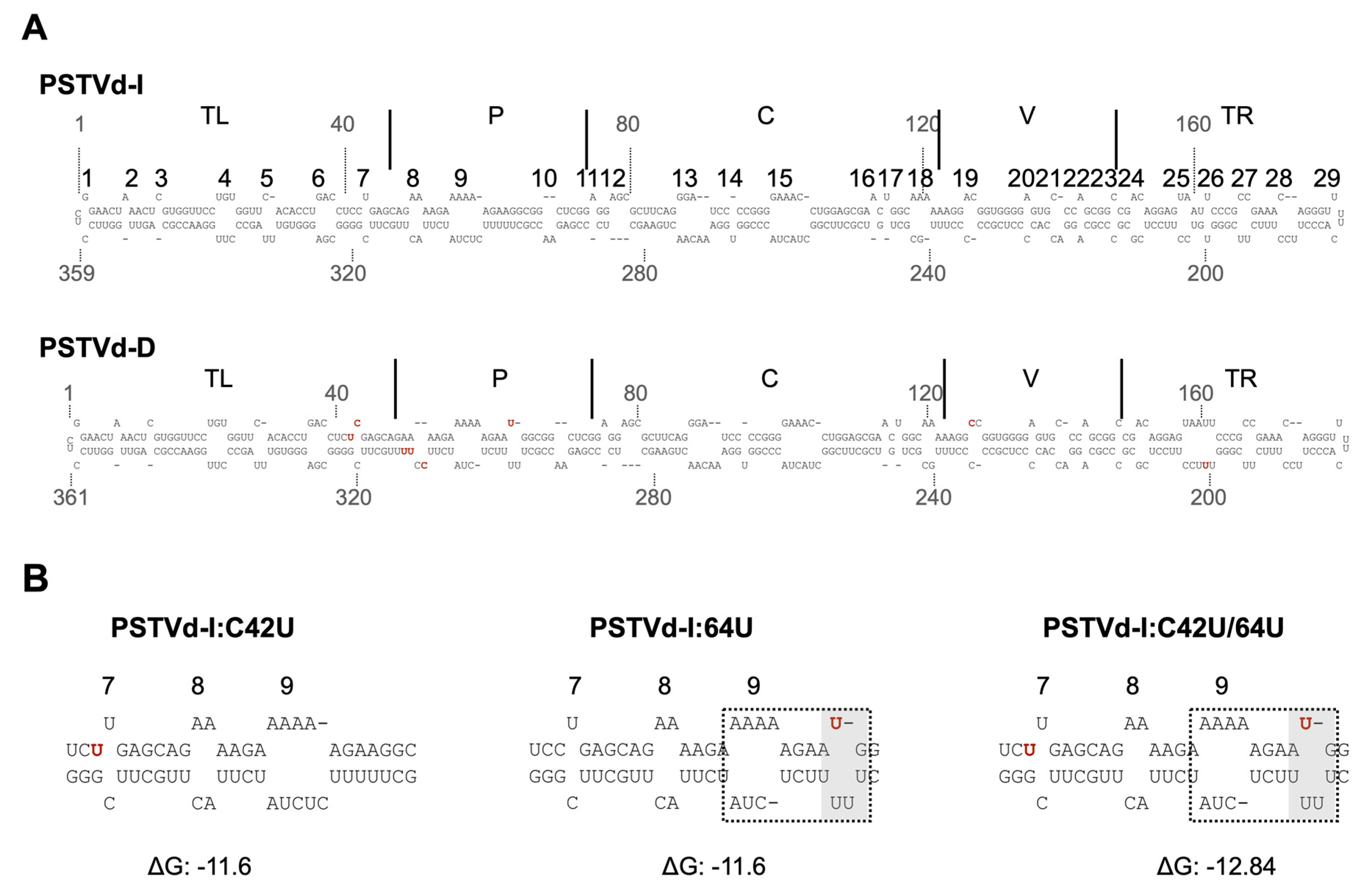 Ijms 21 07352 g003 Ijms 21 07352 g003