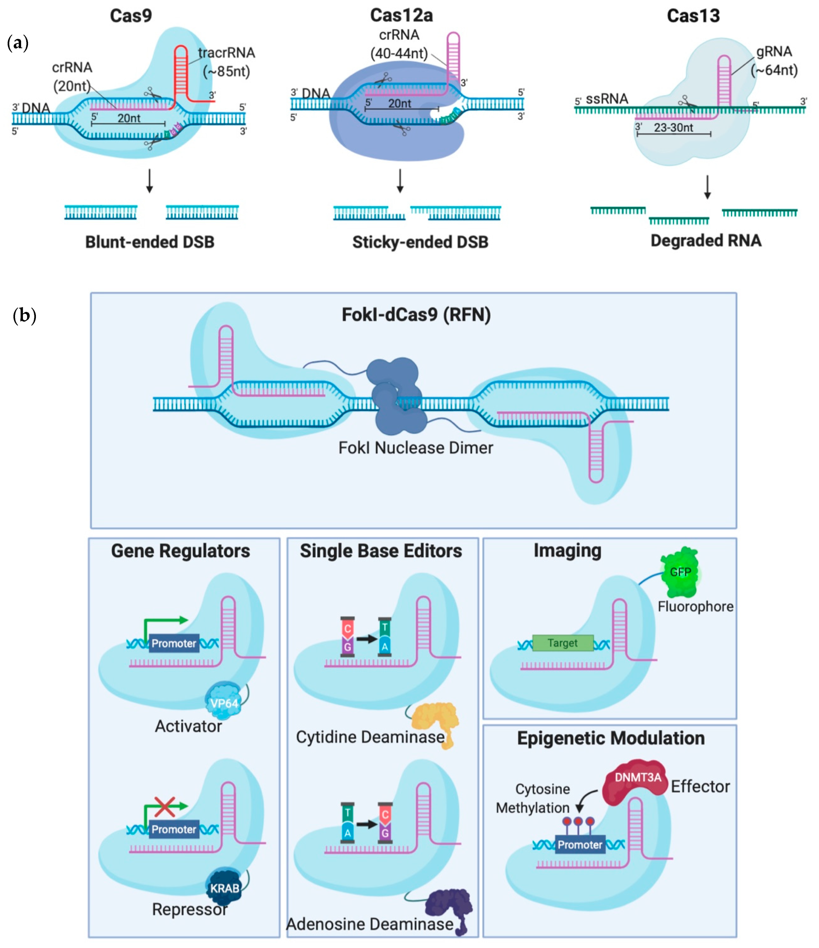 Ijms 21 07353 g002 Ijms 21 07353 g002