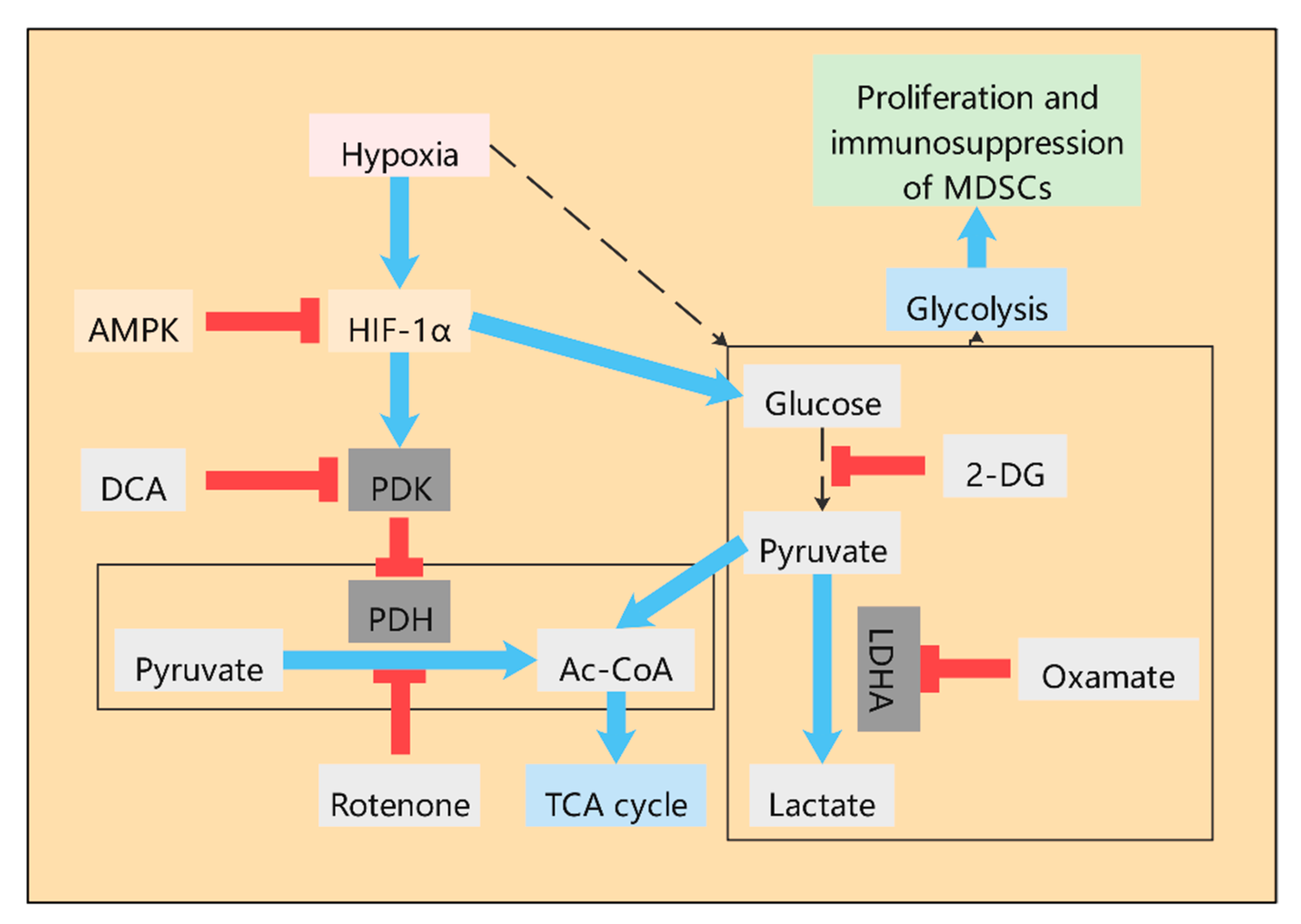 Ijms 21 07356 g001 Ijms 21 07356 g001