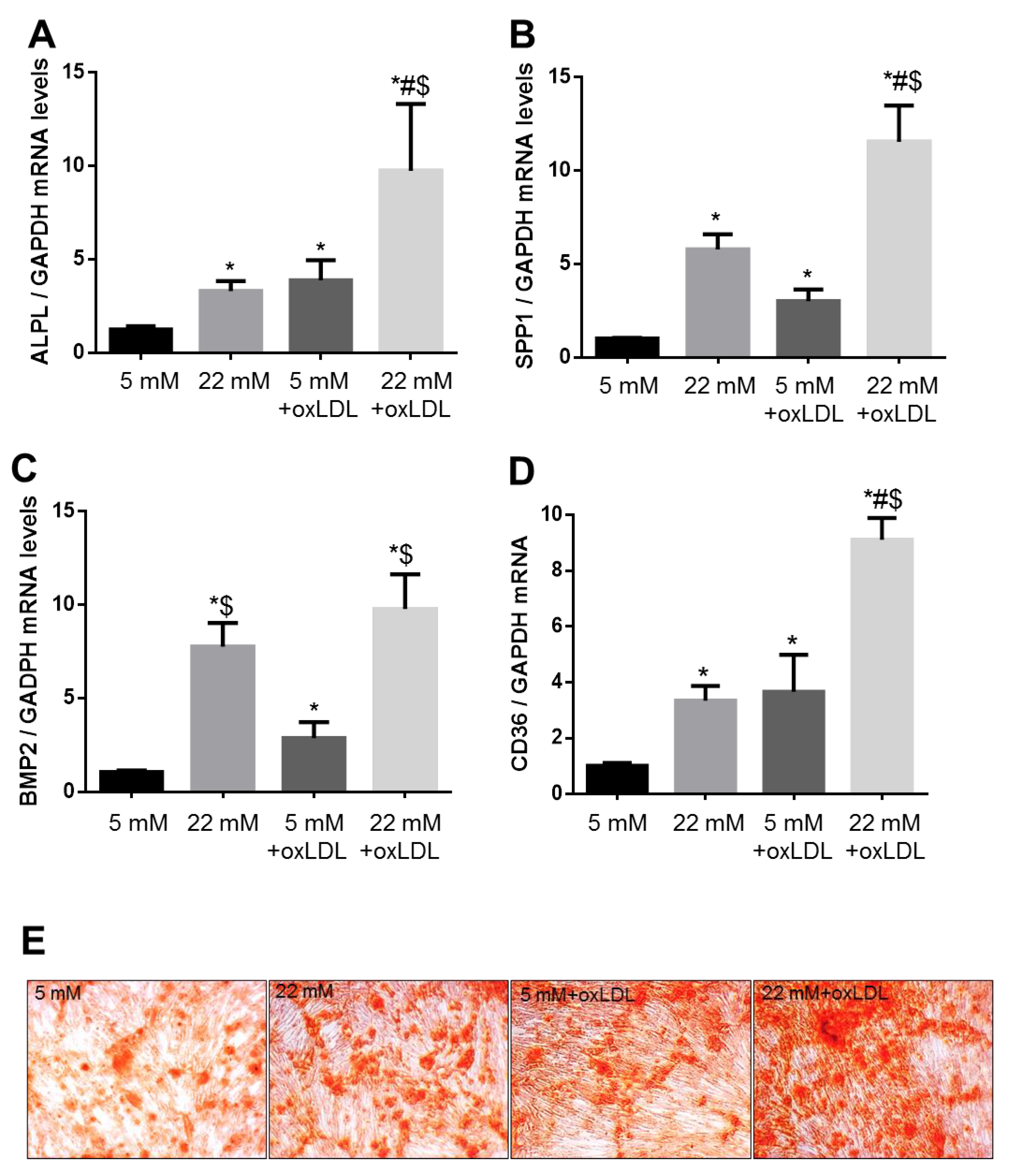 Ijms 21 07360 g003 Ijms 21 07360 g003
