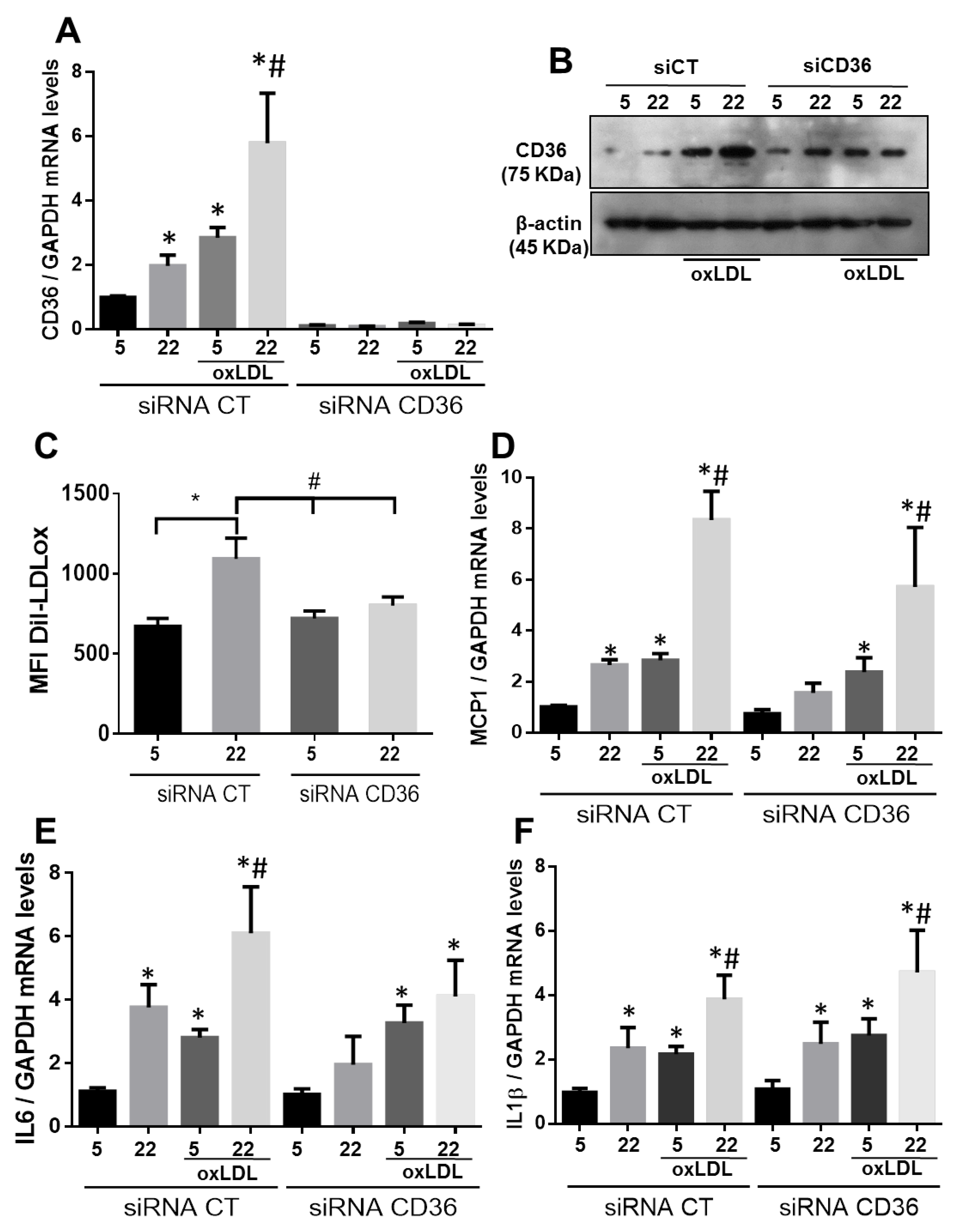 Ijms 21 07360 g004 Ijms 21 07360 g004