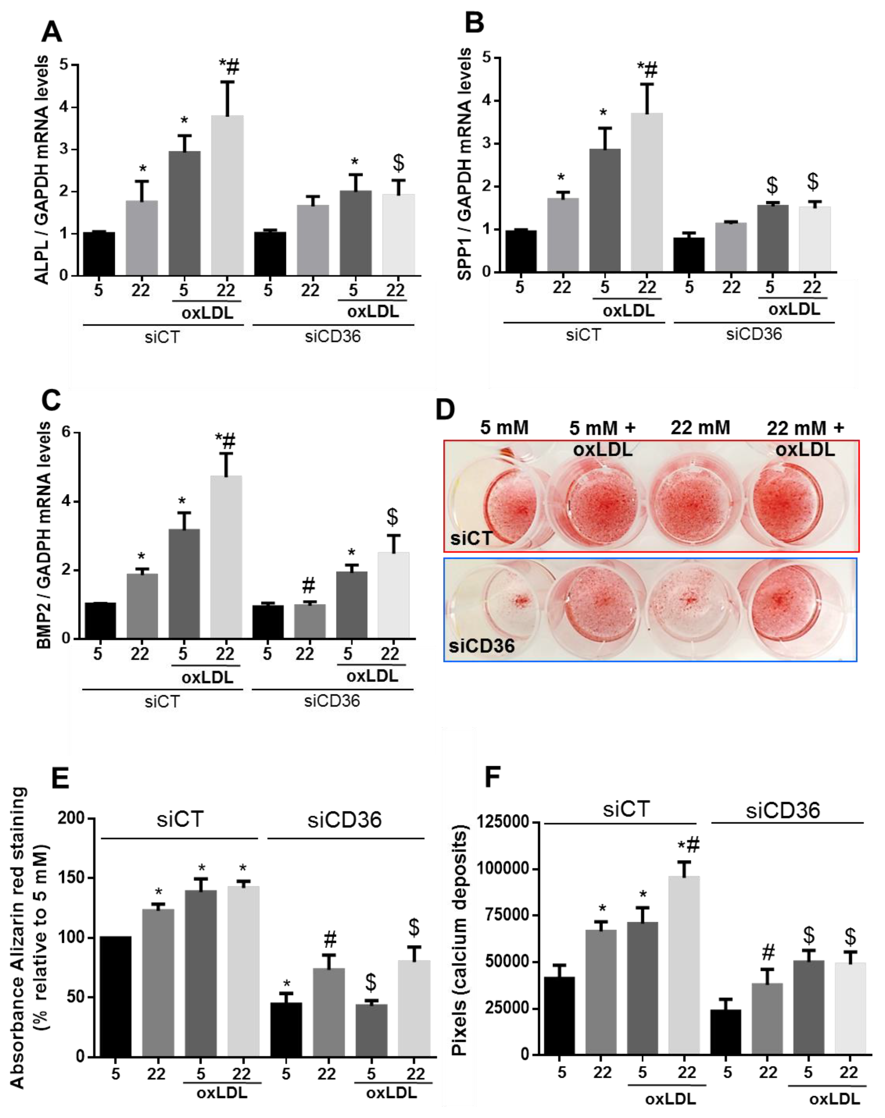Ijms 21 07360 g005 Ijms 21 07360 g005