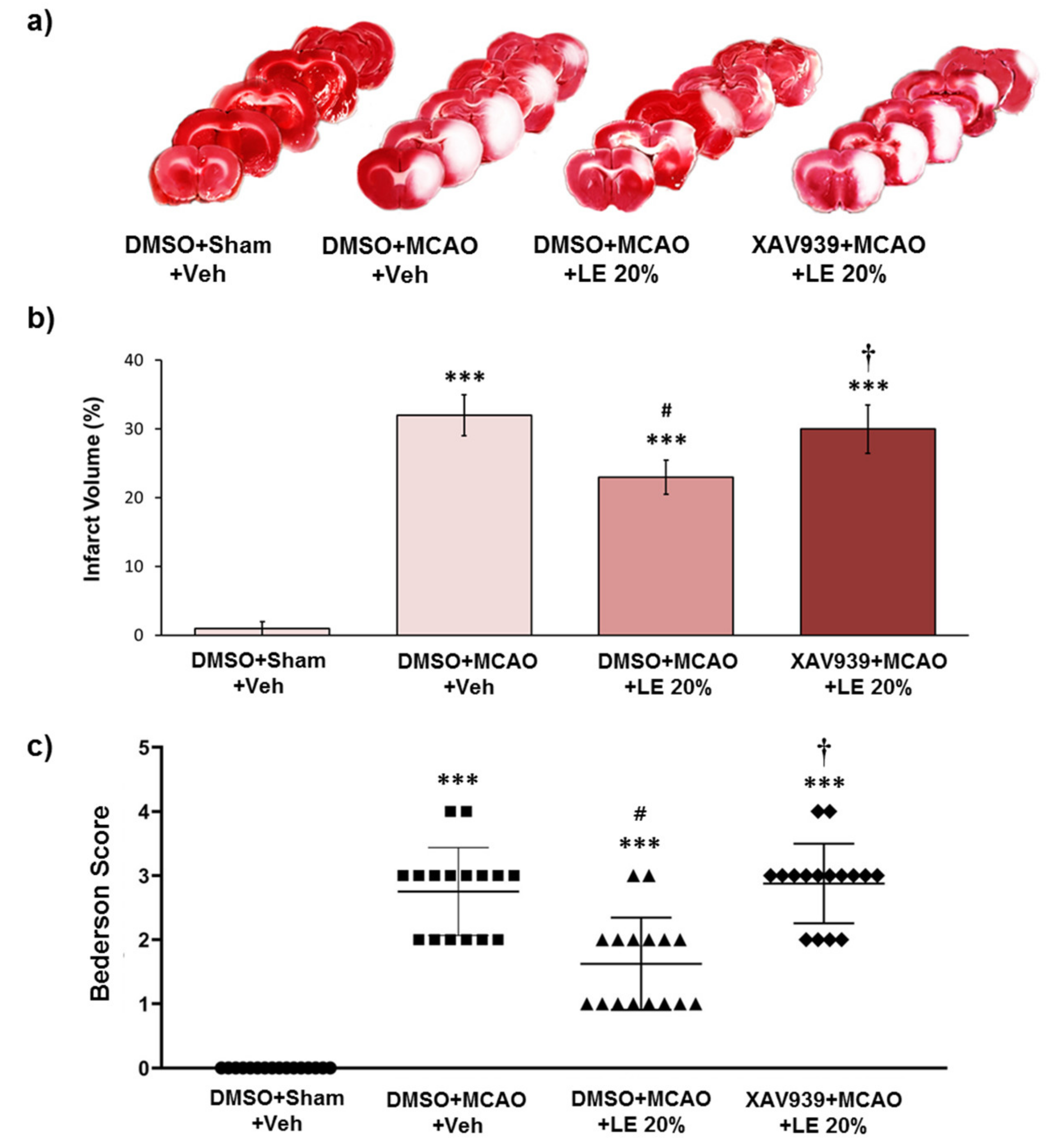 Ijms 21 07373 g002 Ijms 21 07373 g002