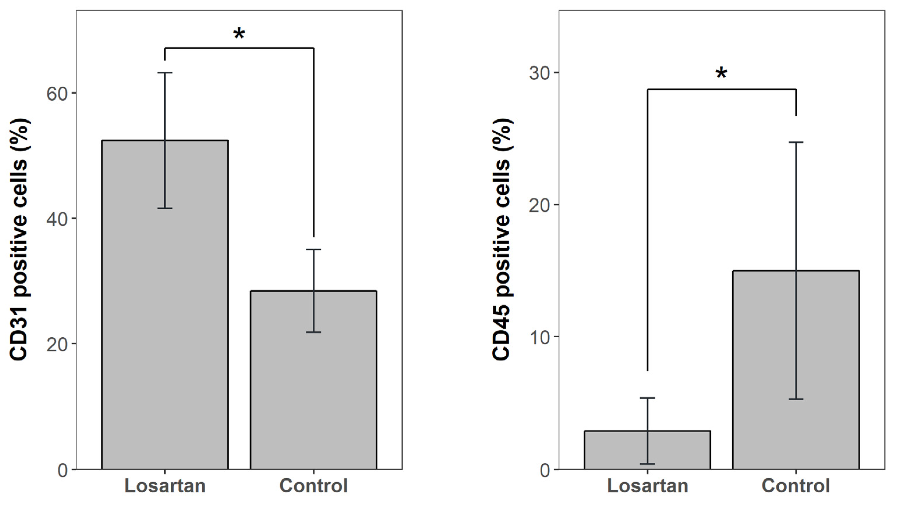 Ijms 21 07374 g002 Ijms 21 07374 g002