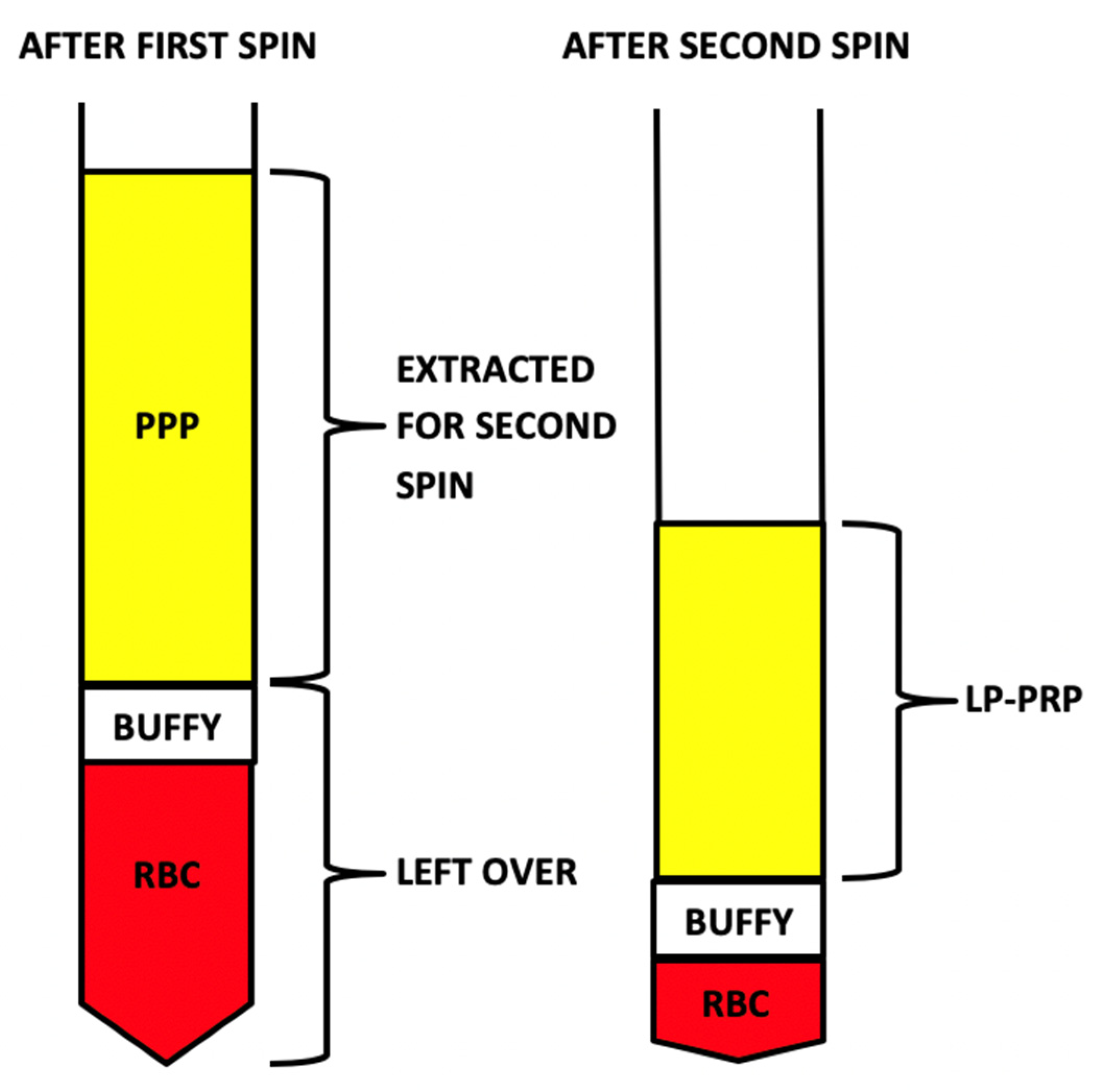 Ijms 21 07374 g004 Ijms 21 07374 g004