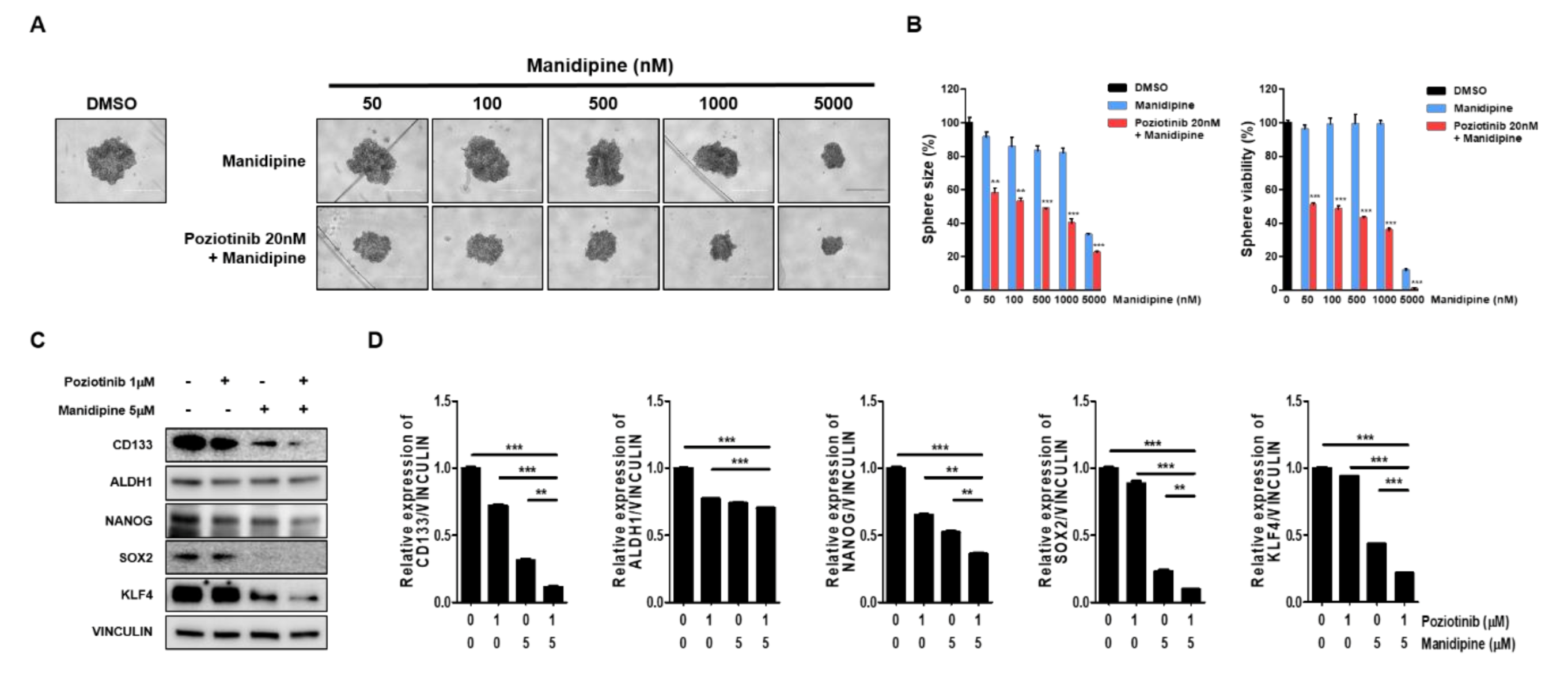 Ijms 21 07379 g003 Ijms 21 07379 g003