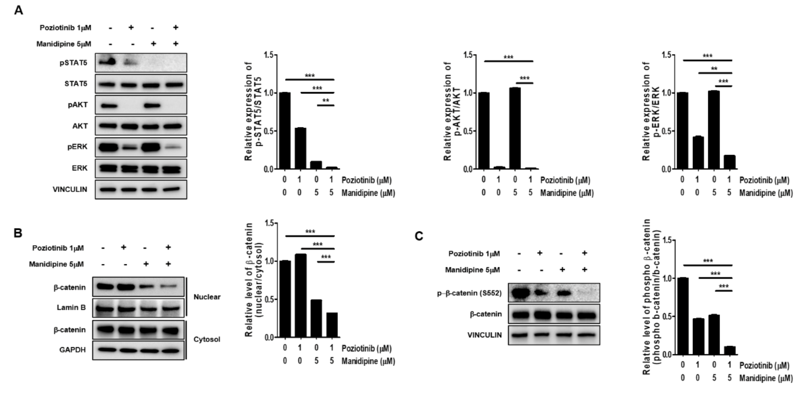 Ijms 21 07379 g004 Ijms 21 07379 g004