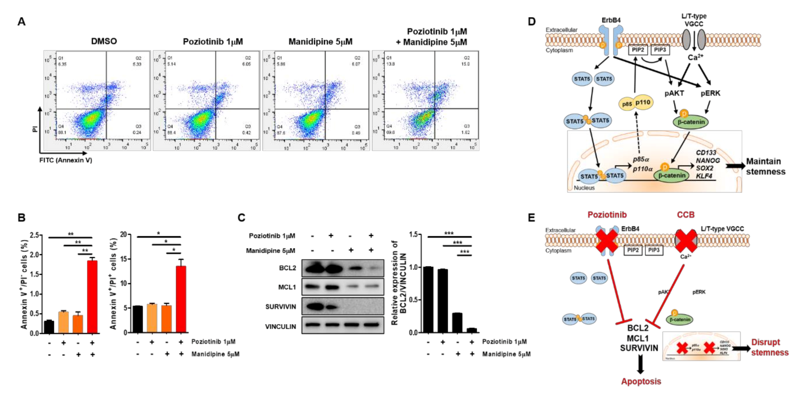 Ijms 21 07379 g005 Ijms 21 07379 g005