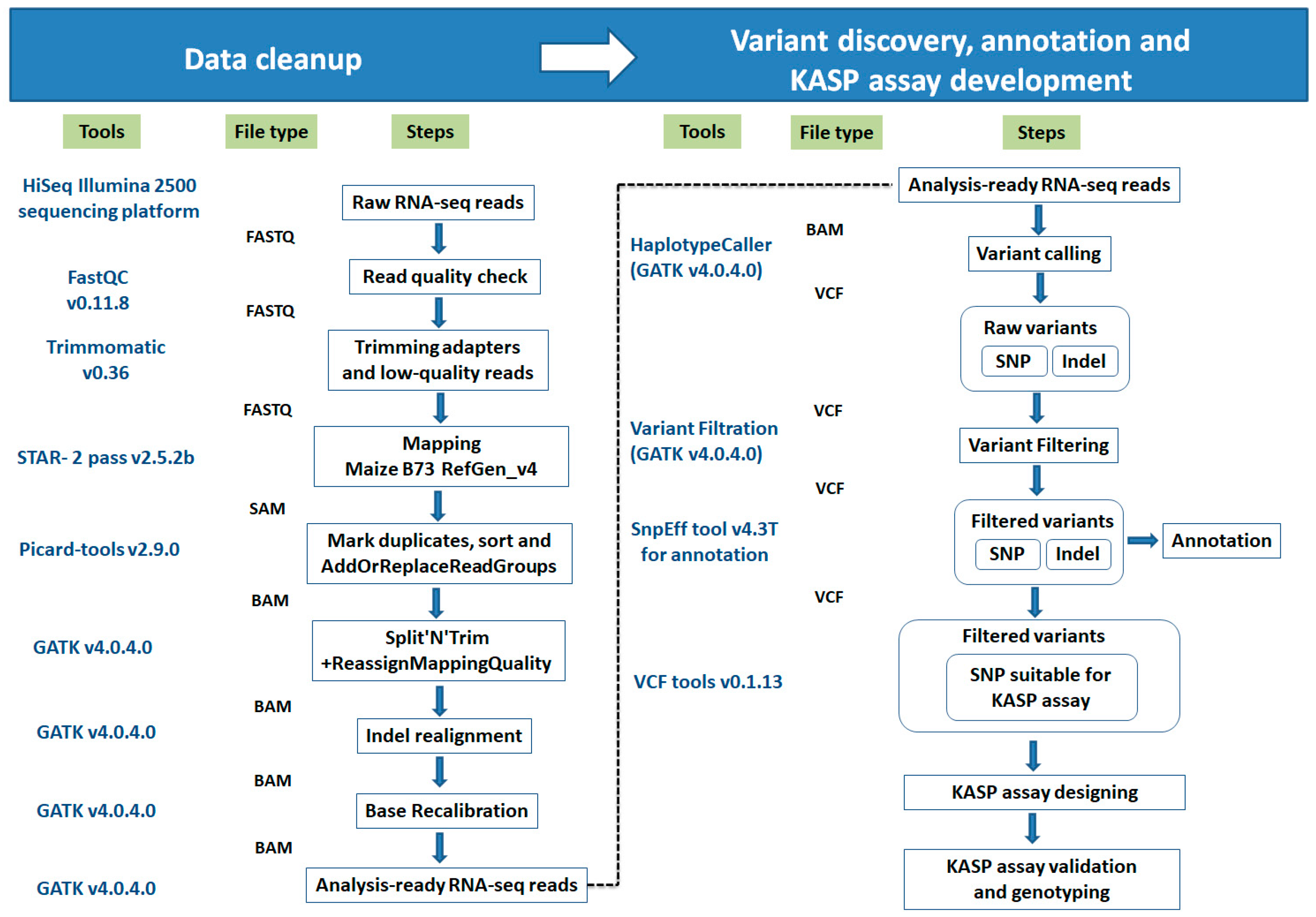 Ijms 21 07386 g009 Ijms 21 07386 g009