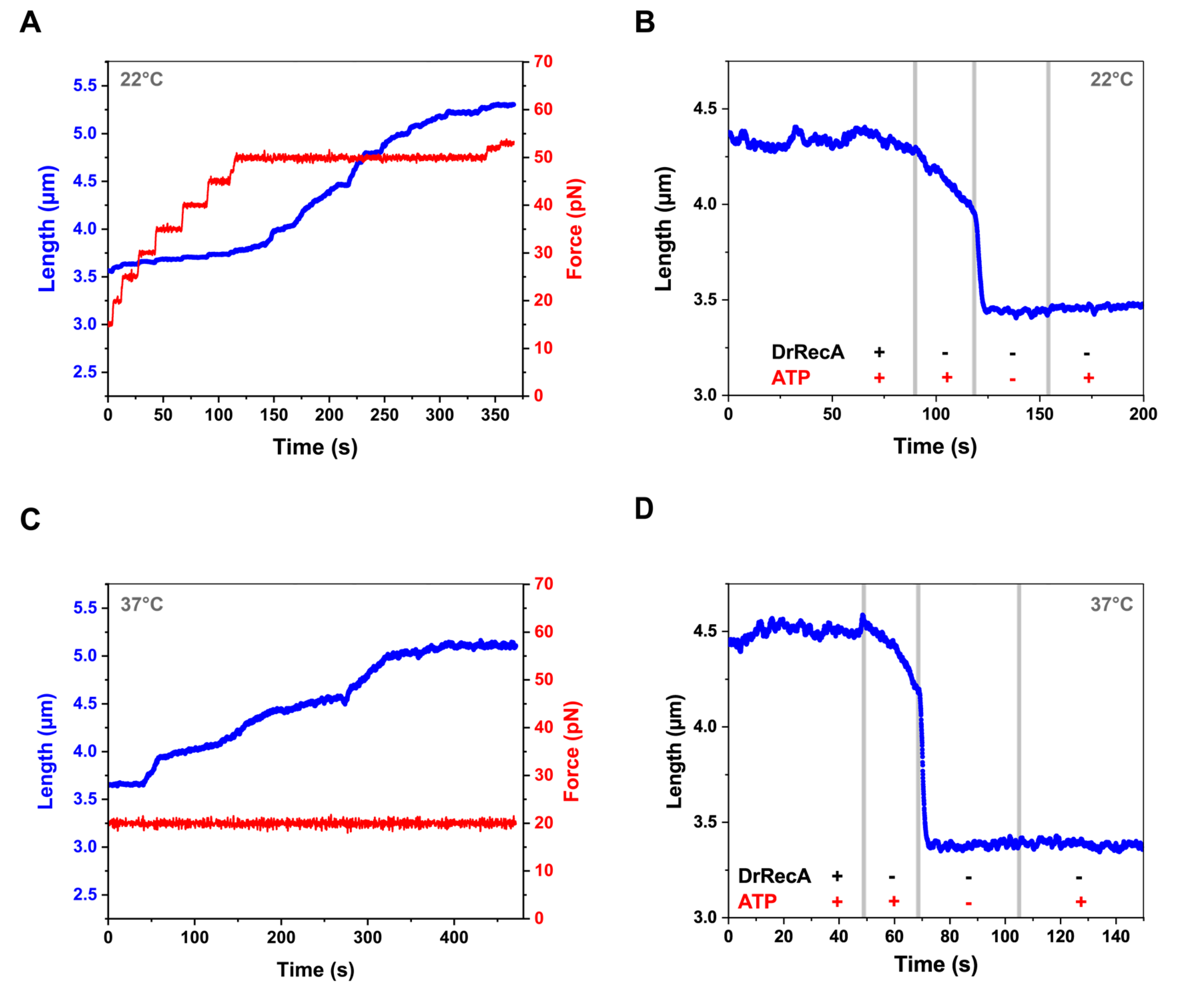 Ijms 21 07389 g003 Ijms 21 07389 g003