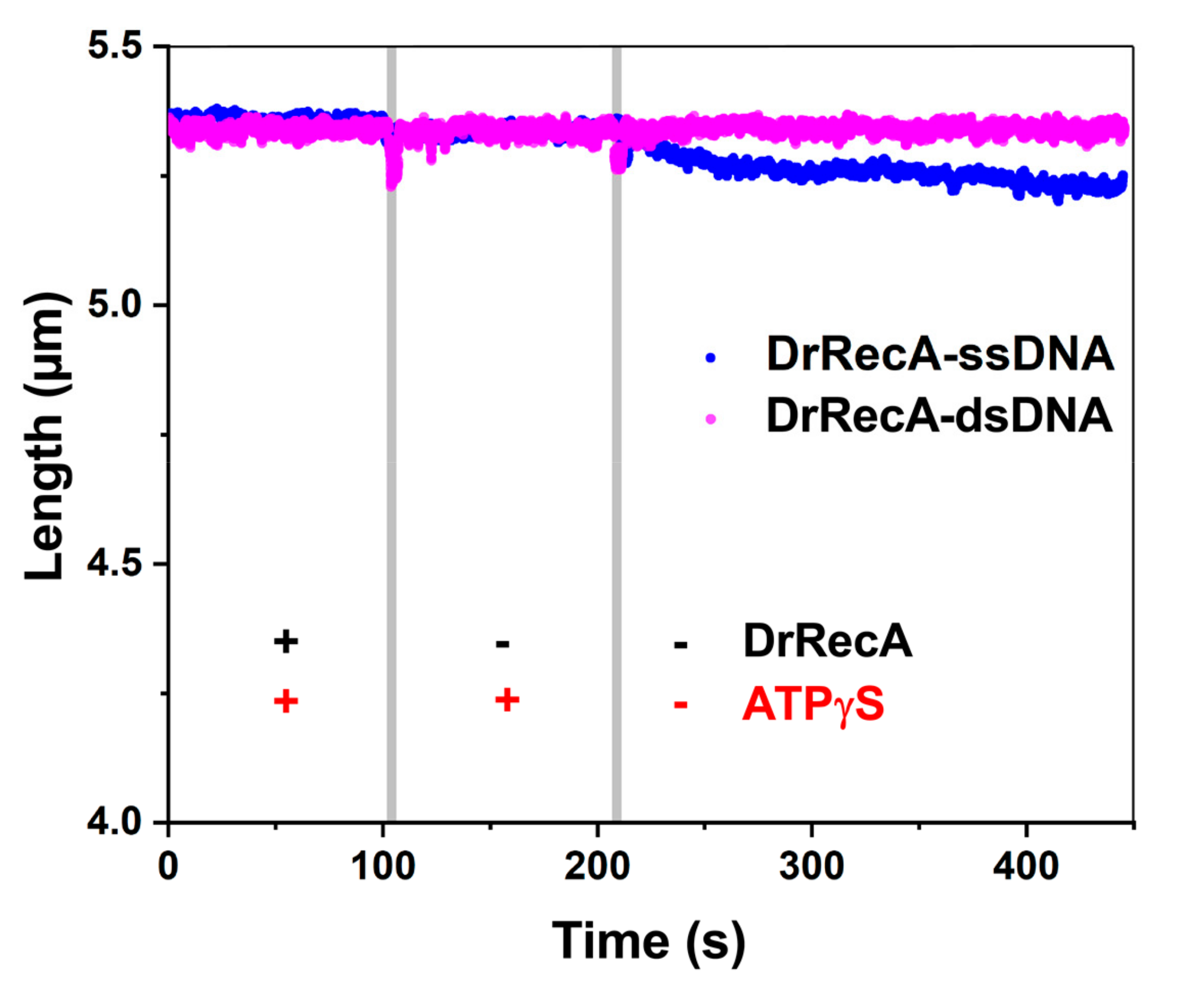 Ijms 21 07389 g004 Ijms 21 07389 g004