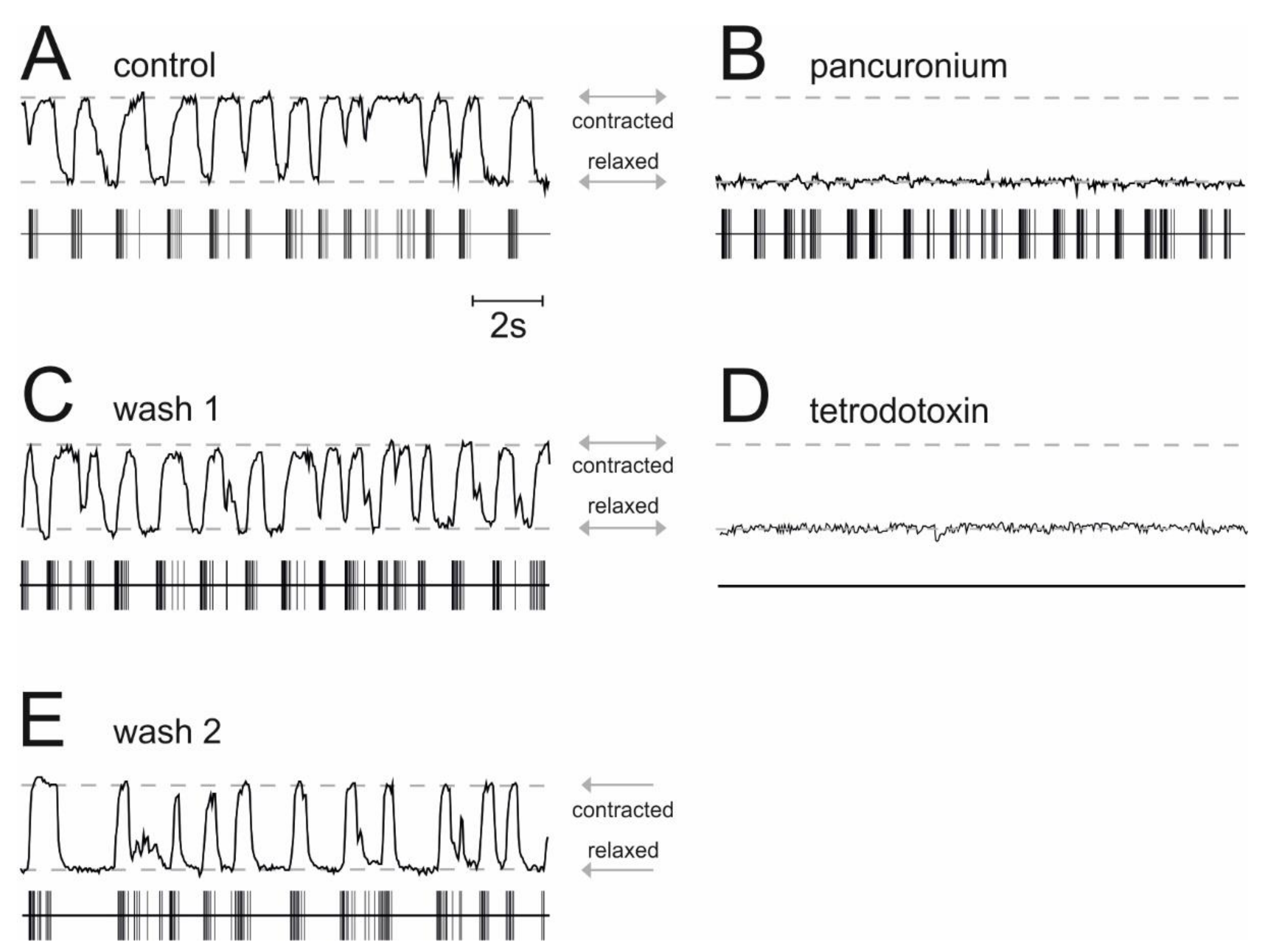 Ijms 21 07399 g004 Ijms 21 07399 g004