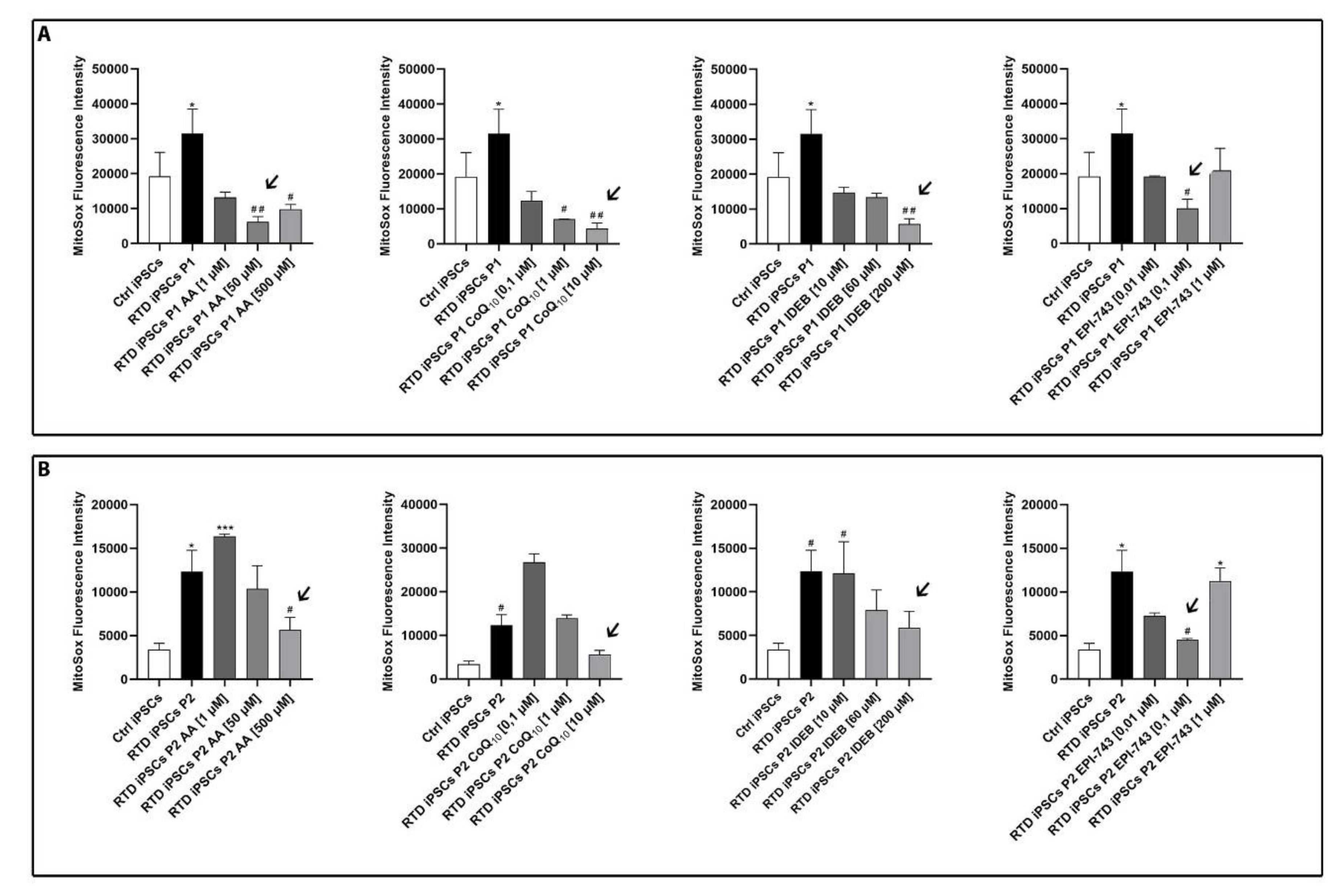 Ijms 21 07402 g001 Ijms 21 07402 g001