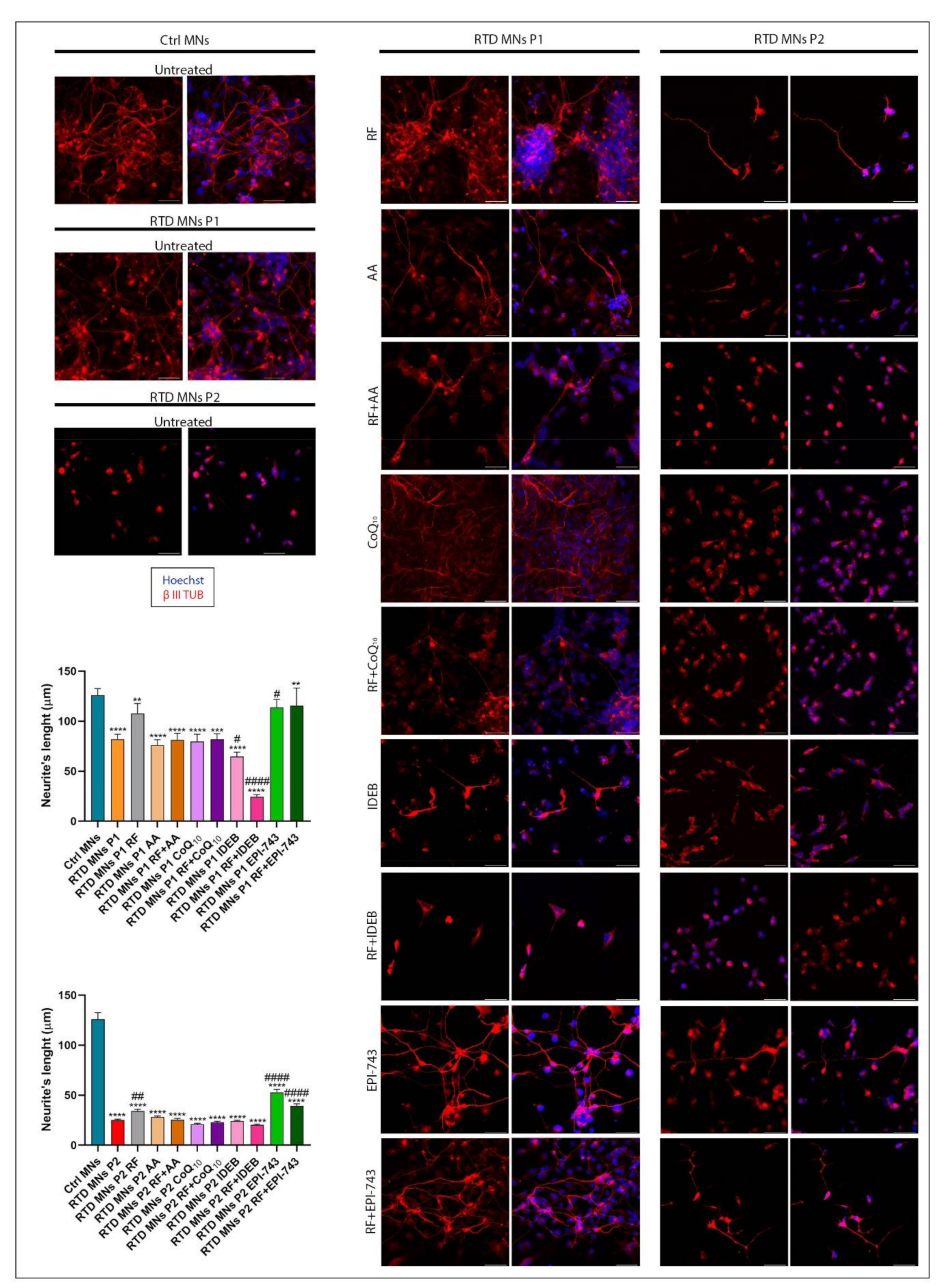 Ijms 21 07402 g003 Ijms 21 07402 g003