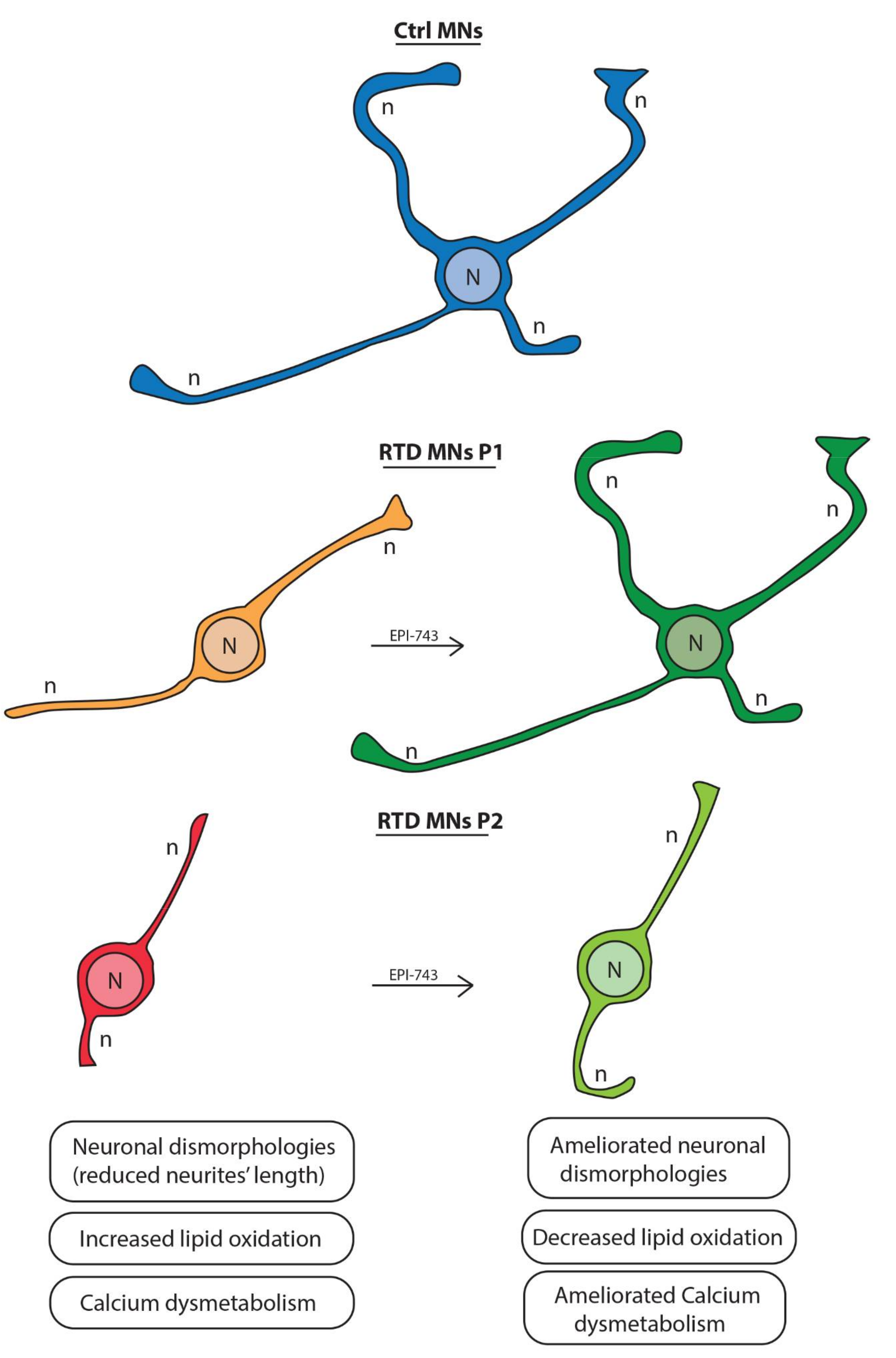 Ijms 21 07402 g005 Ijms 21 07402 g005