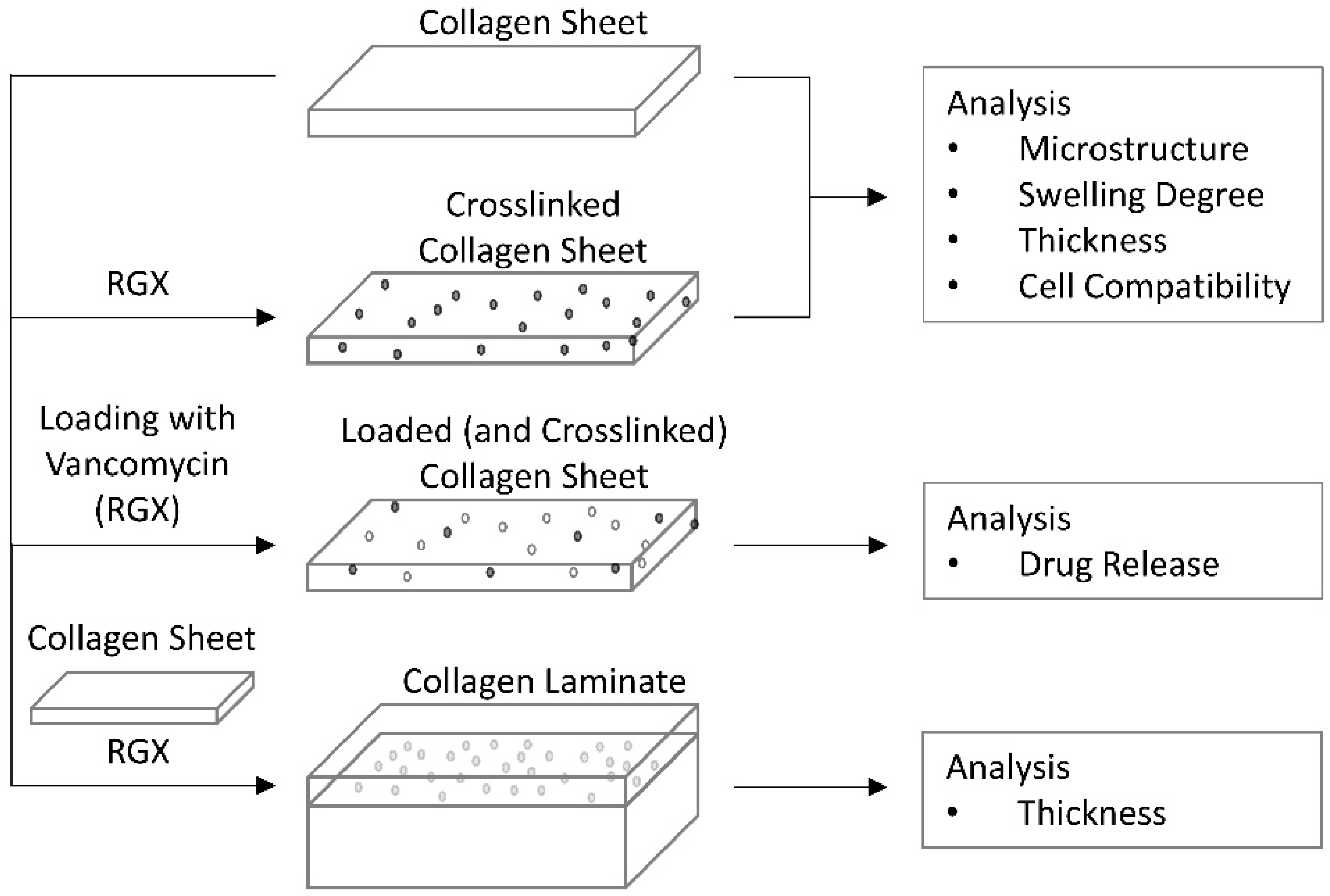 Ijms 21 07408 g001 Ijms 21 07408 g001