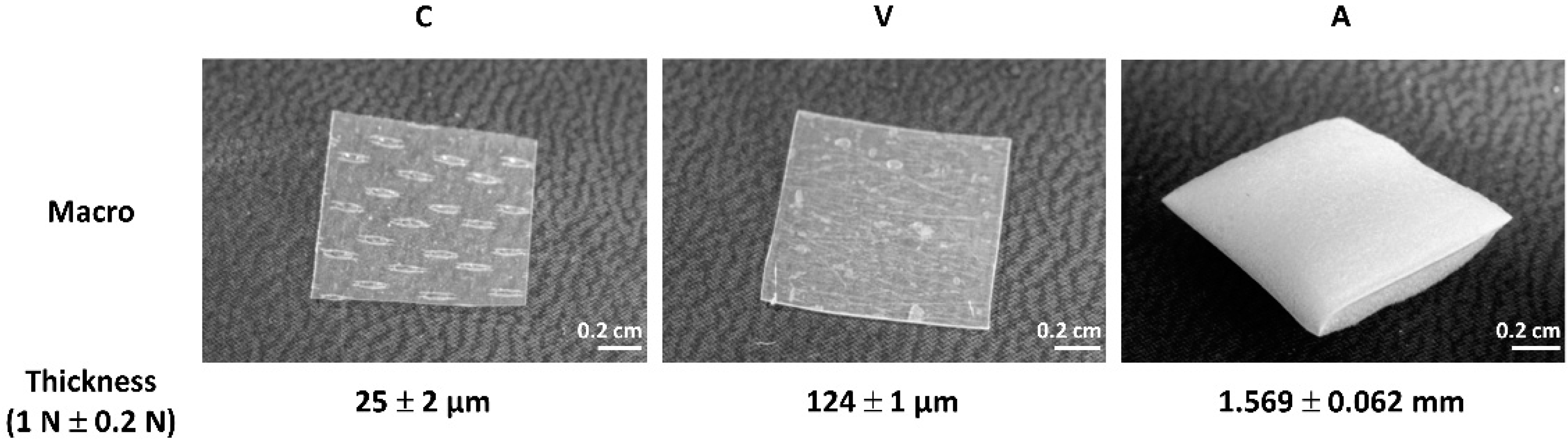 Ijms 21 07408 g002 Ijms 21 07408 g002