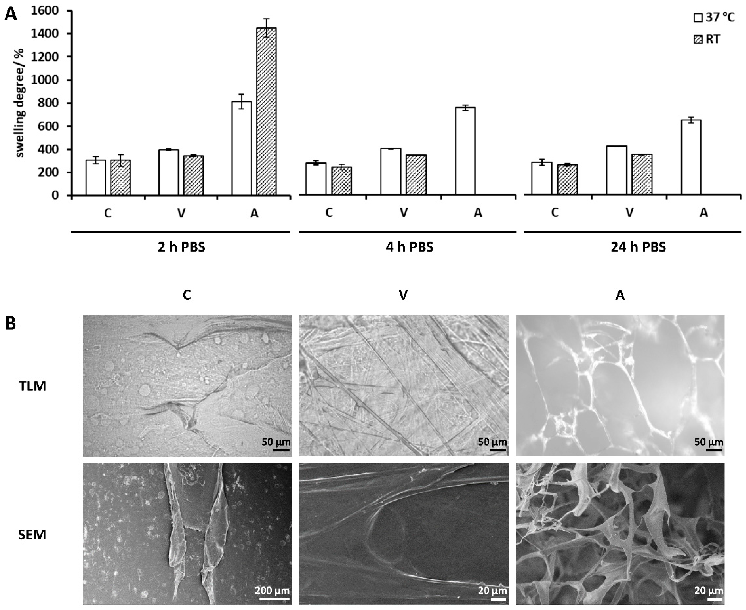 Ijms 21 07408 g003 Ijms 21 07408 g003