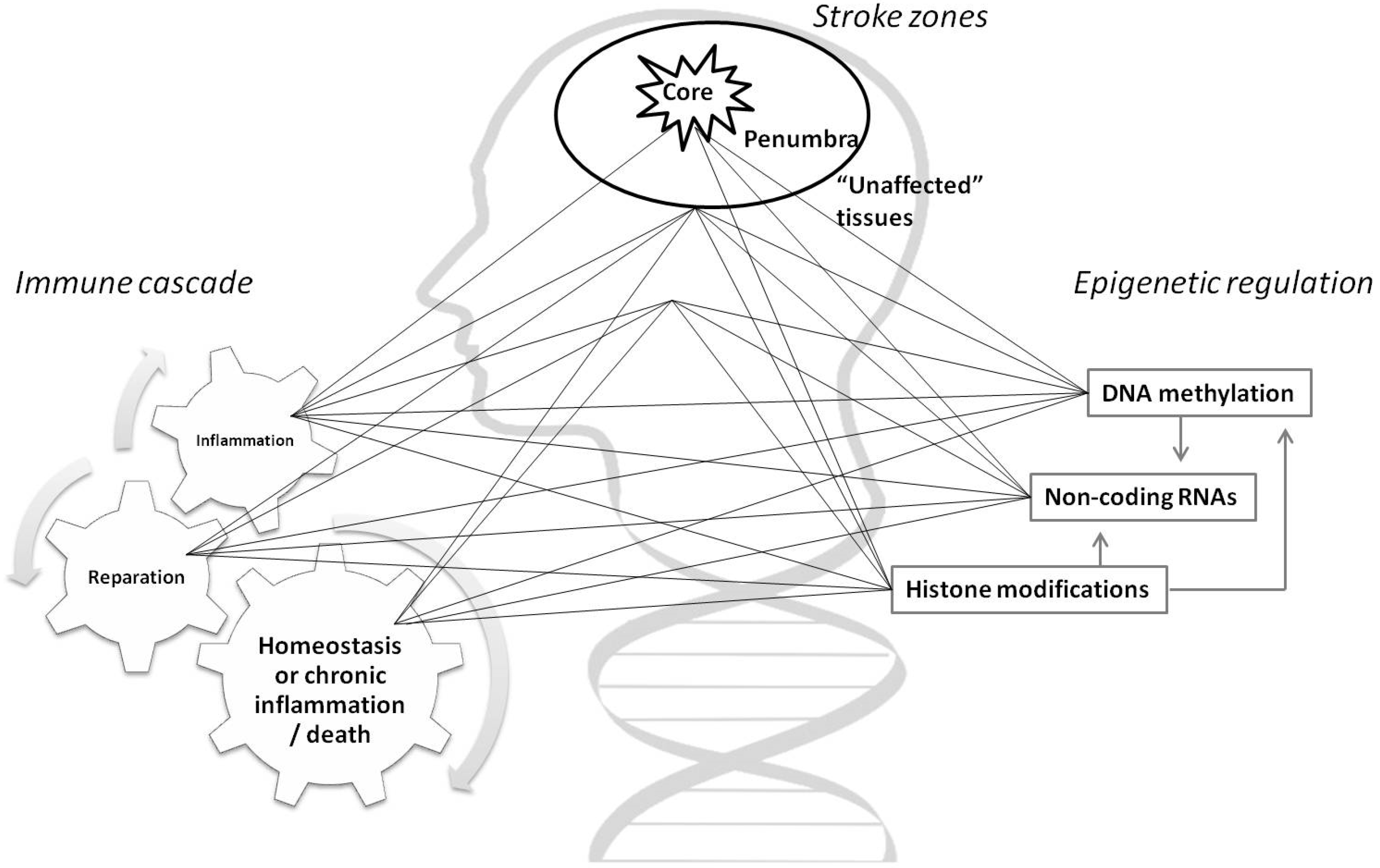 Ijms 21 07409 g001 Ijms 21 07409 g001