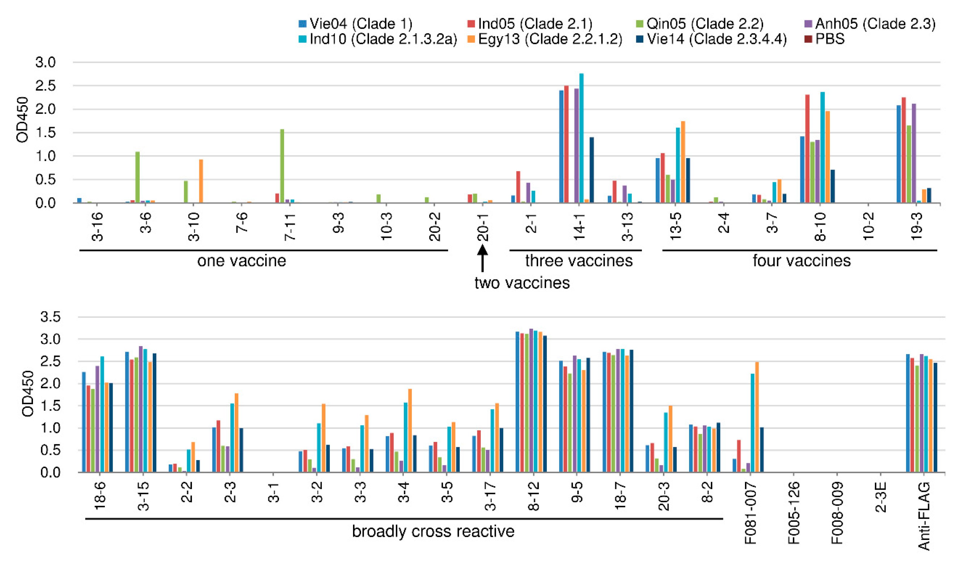 Ijms 21 07422 g006 Ijms 21 07422 g006
