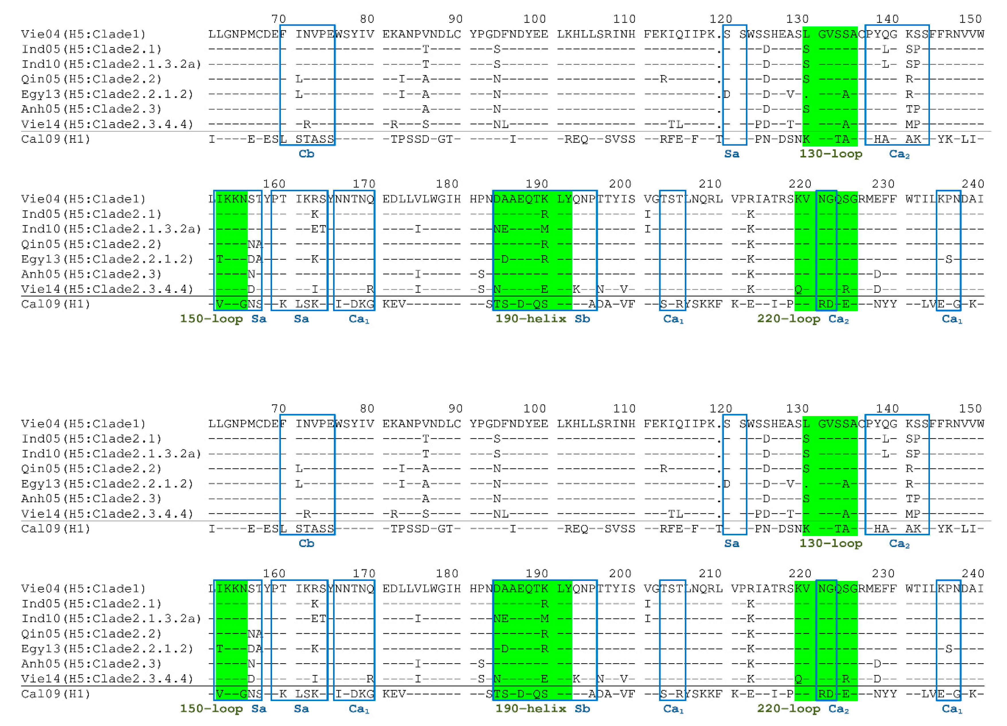 Ijms 21 07422 g009 Ijms 21 07422 g009