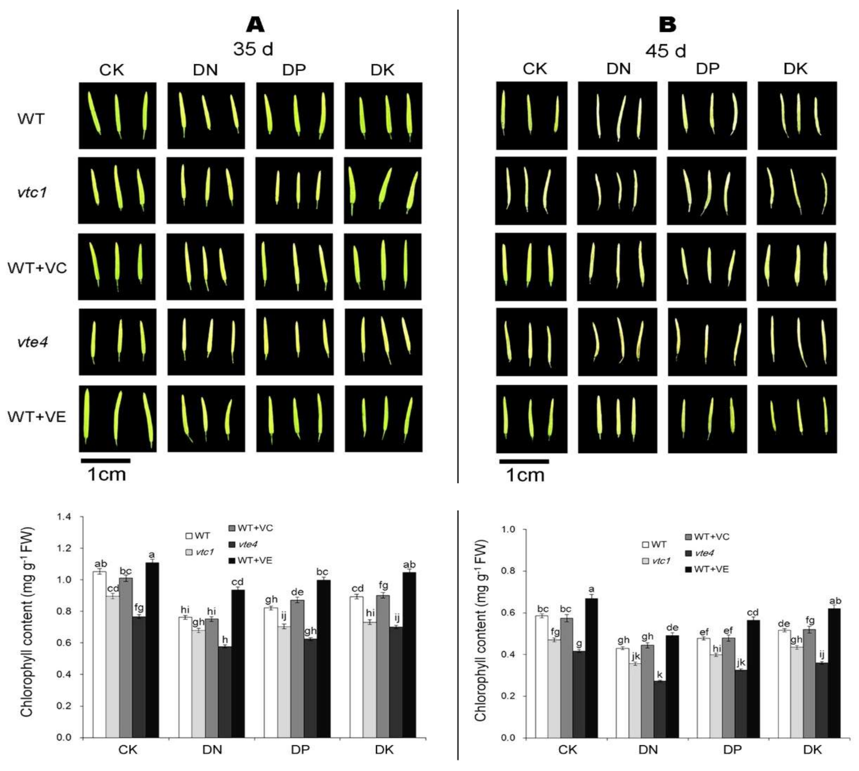 Ijms 21 07429 g002 Ijms 21 07429 g002