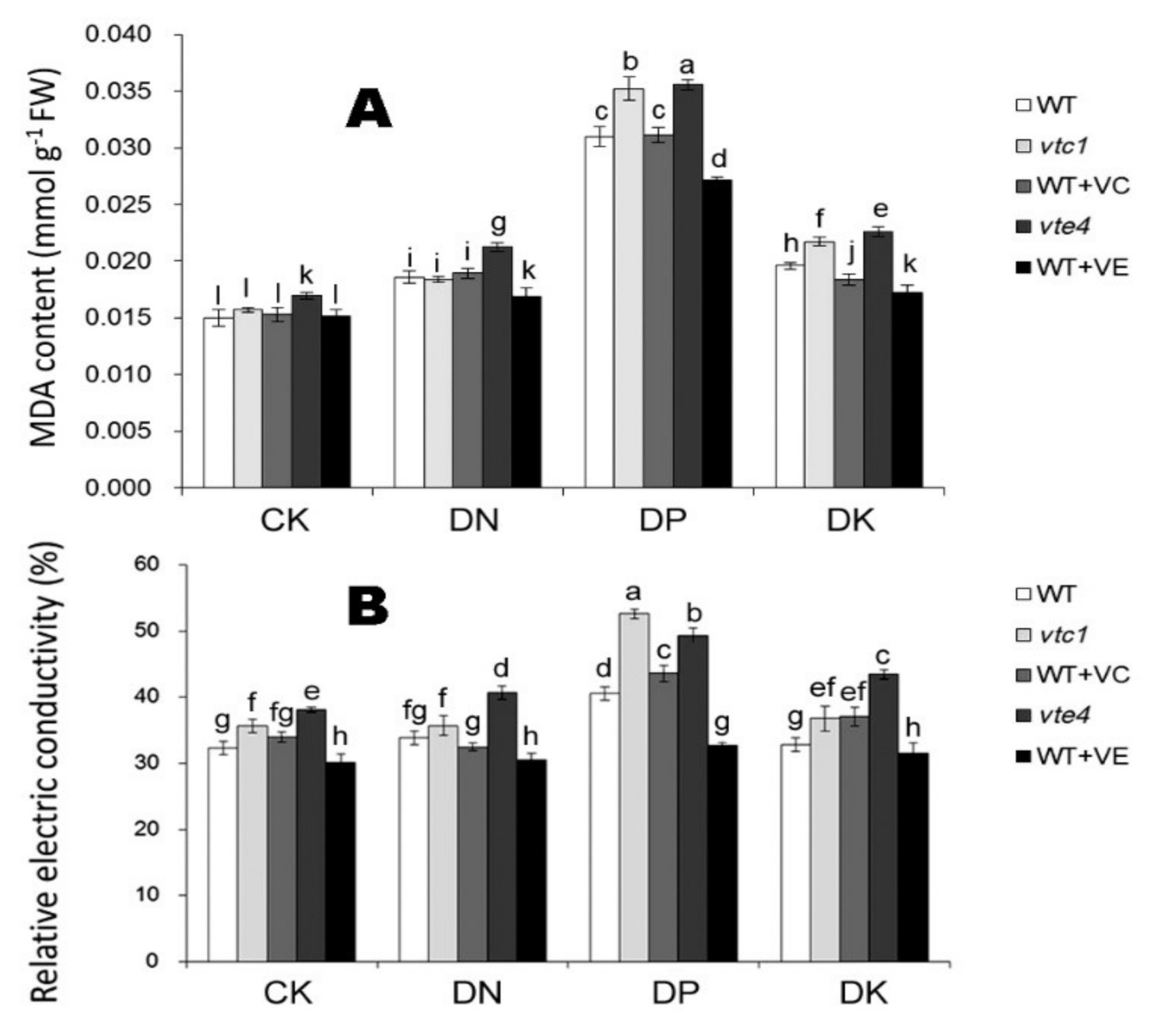 Ijms 21 07429 g003 Ijms 21 07429 g003