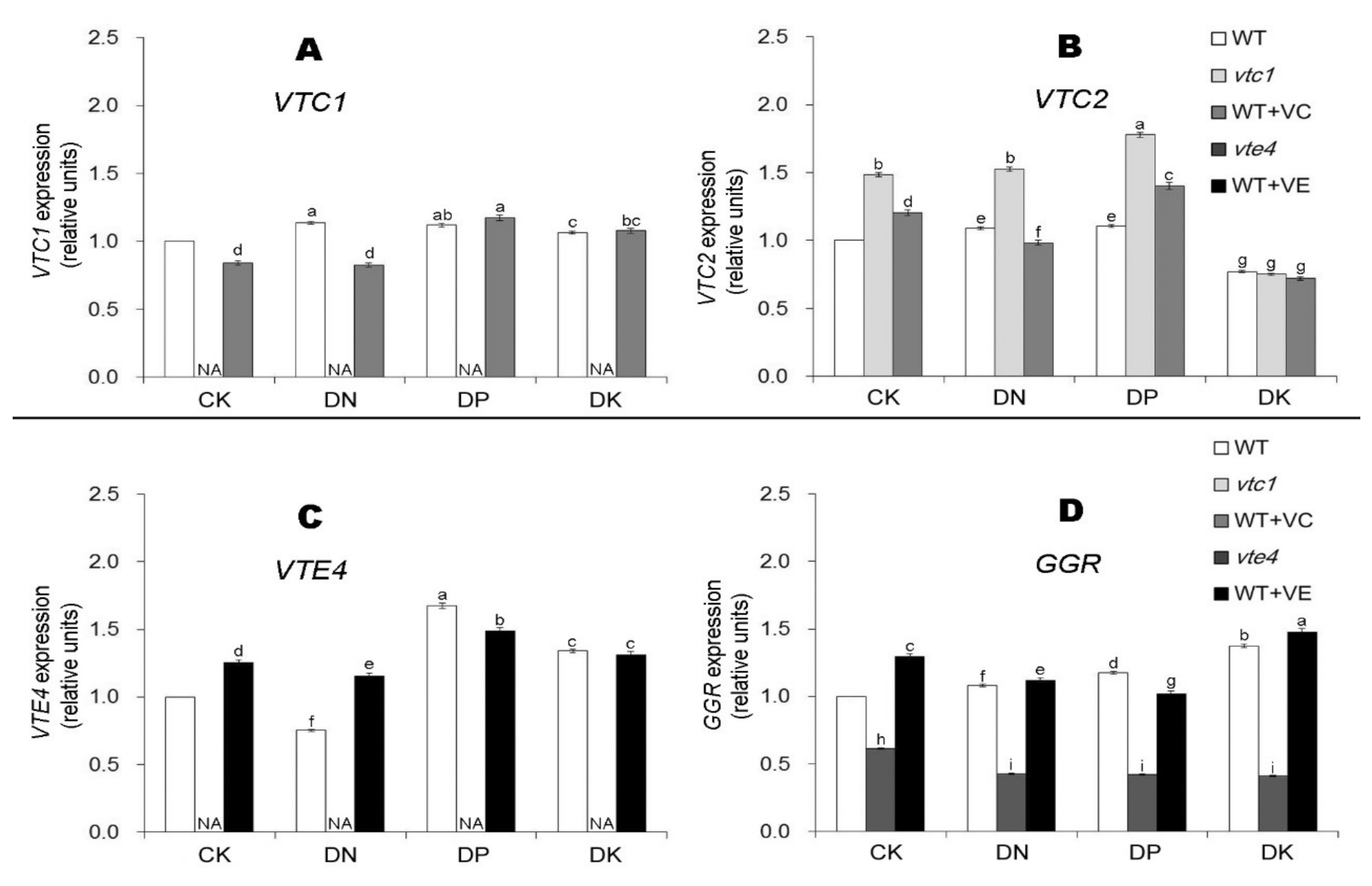 Ijms 21 07429 g005 Ijms 21 07429 g005