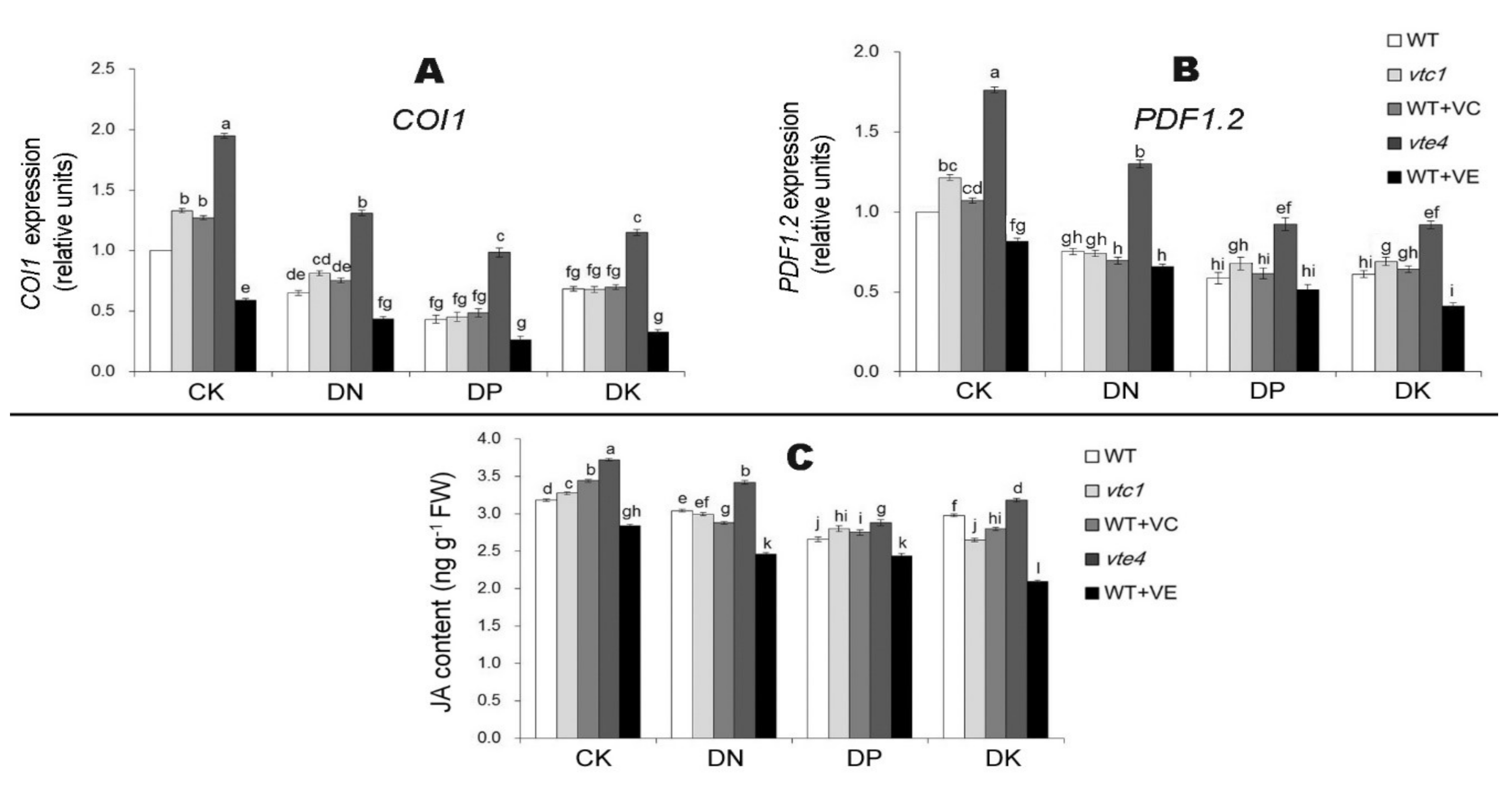 Ijms 21 07429 g007 Ijms 21 07429 g007