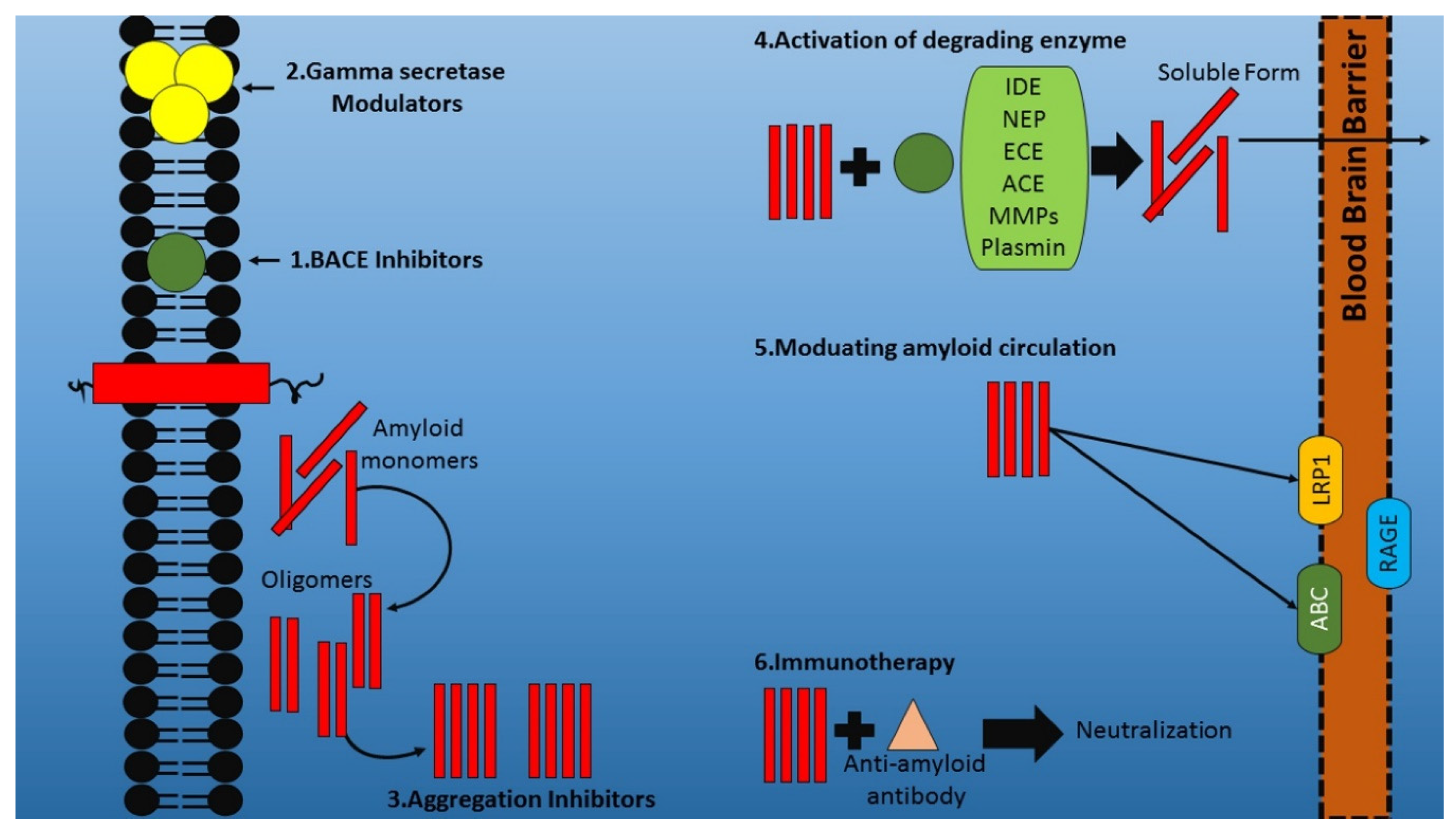 Ijms Free Full Text Exploring The Potential Of Therapeutic Agents Targeted Towards Mitigating The Events Associated With Amyloid B Cascade In Alzheimer S Disease Html Ijms Free Full Text Exploring The Potential Of Therapeutic Agents Targeted Towards Mitigating The Events Associated With Amyloid B Cascade In Alzheimer S Disease Html