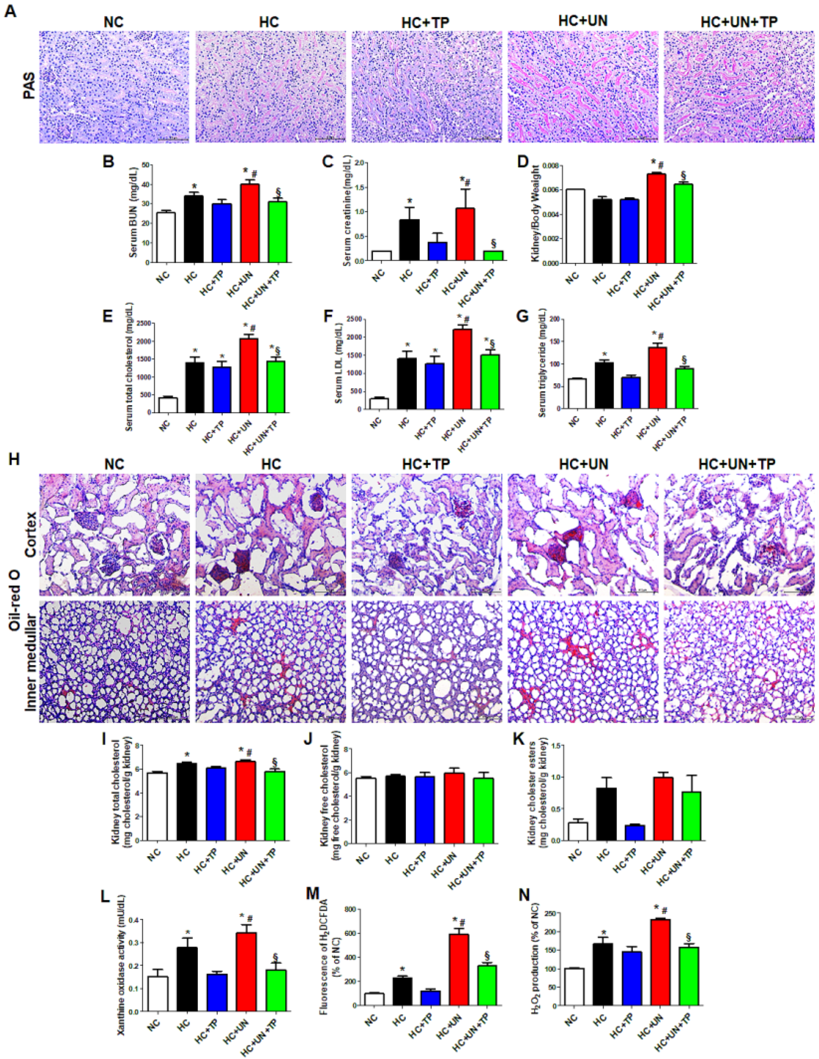 Ijms 21 07444 g001 Ijms 21 07444 g001