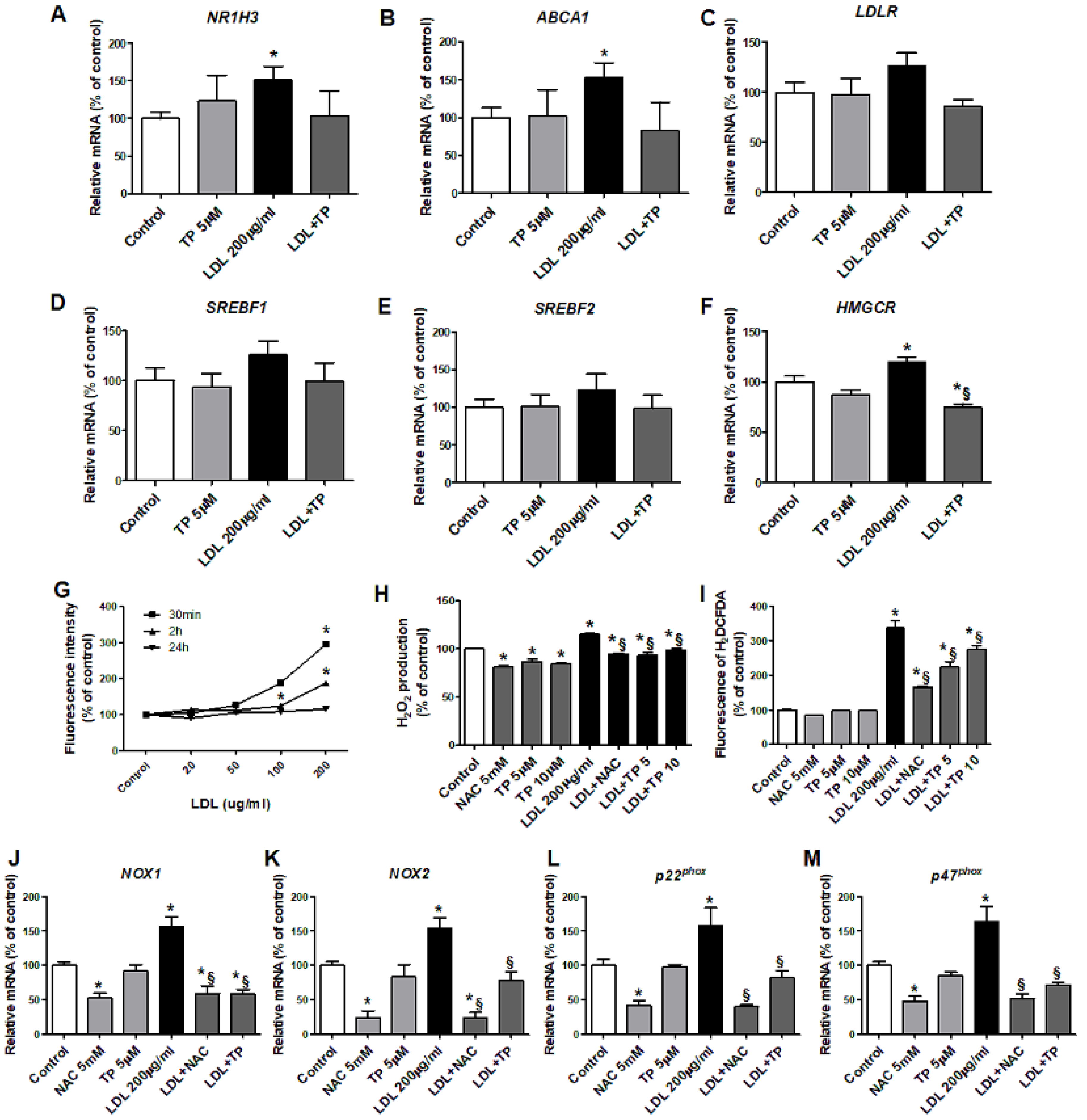 Ijms 21 07444 g003 Ijms 21 07444 g003