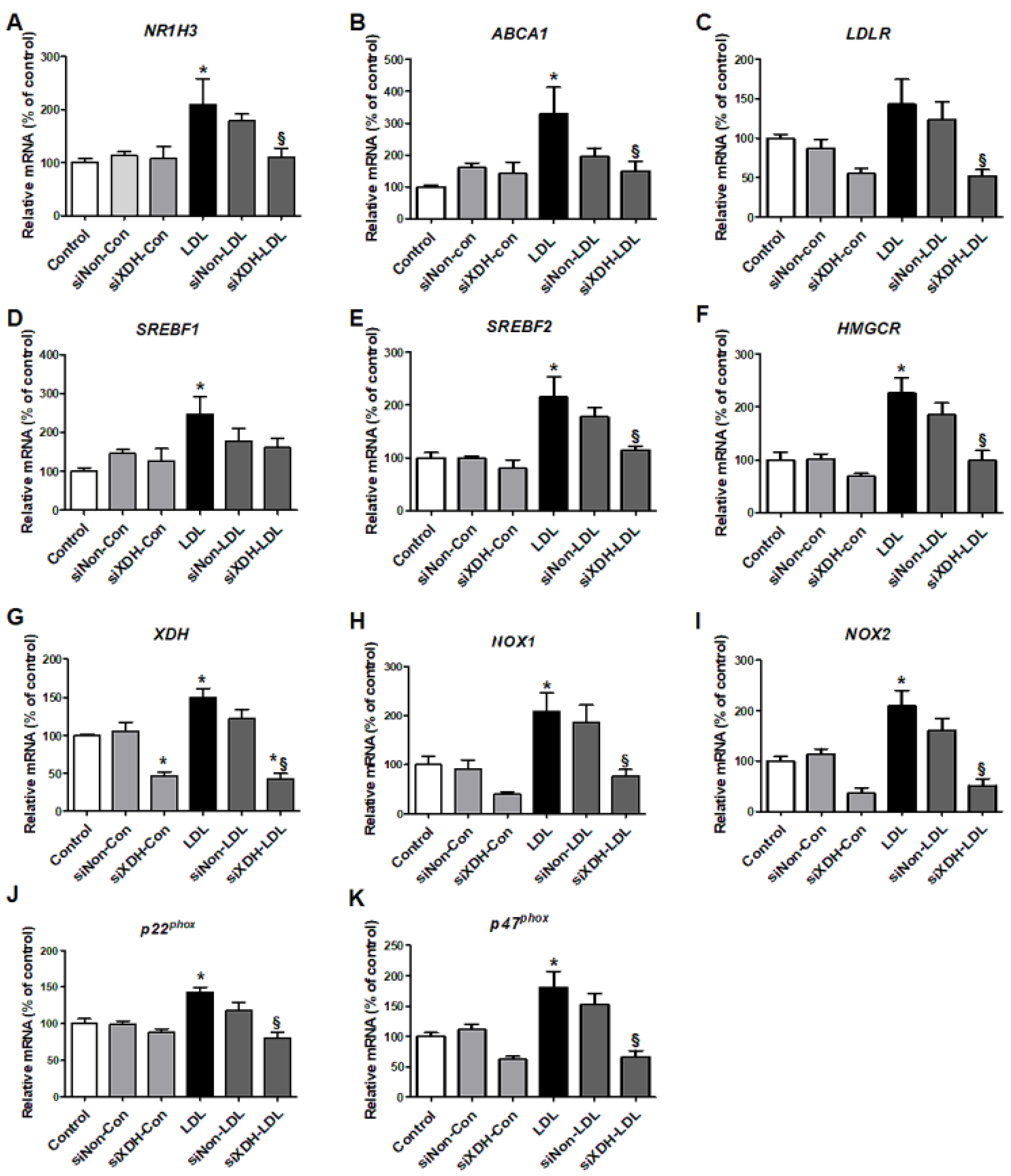Ijms 21 07444 g004 Ijms 21 07444 g004