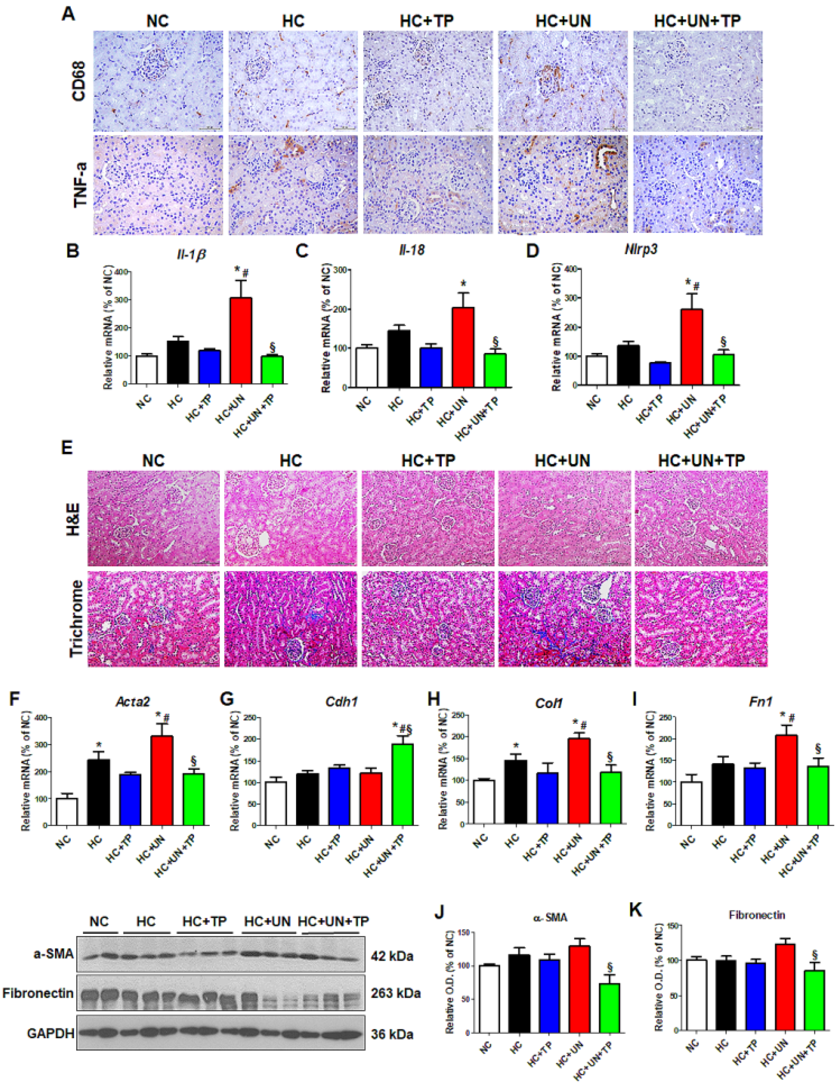 Ijms 21 07444 g005 Ijms 21 07444 g005