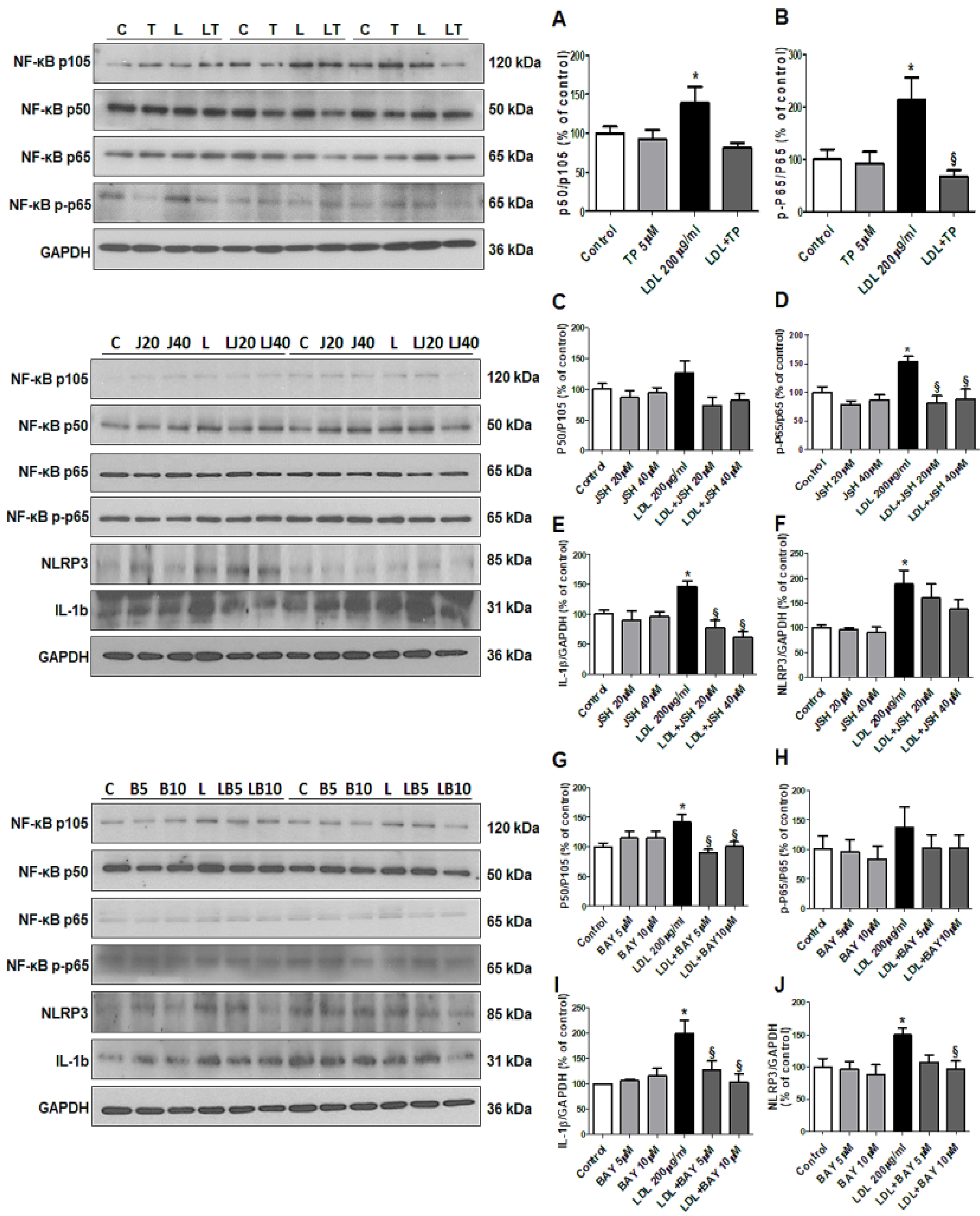 Ijms 21 07444 g006 Ijms 21 07444 g006
