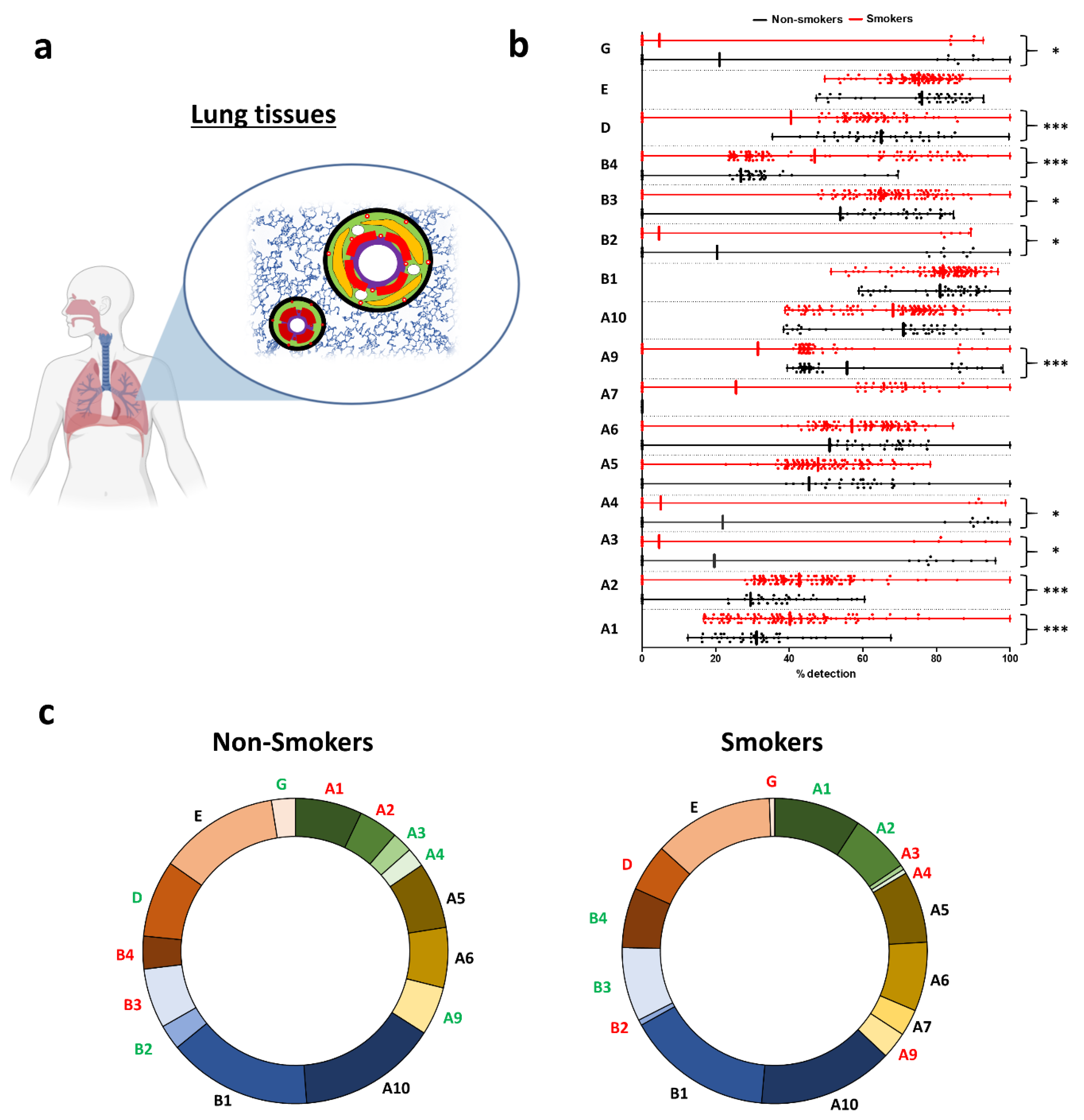 Ijms 21 07446 g001 Ijms 21 07446 g001