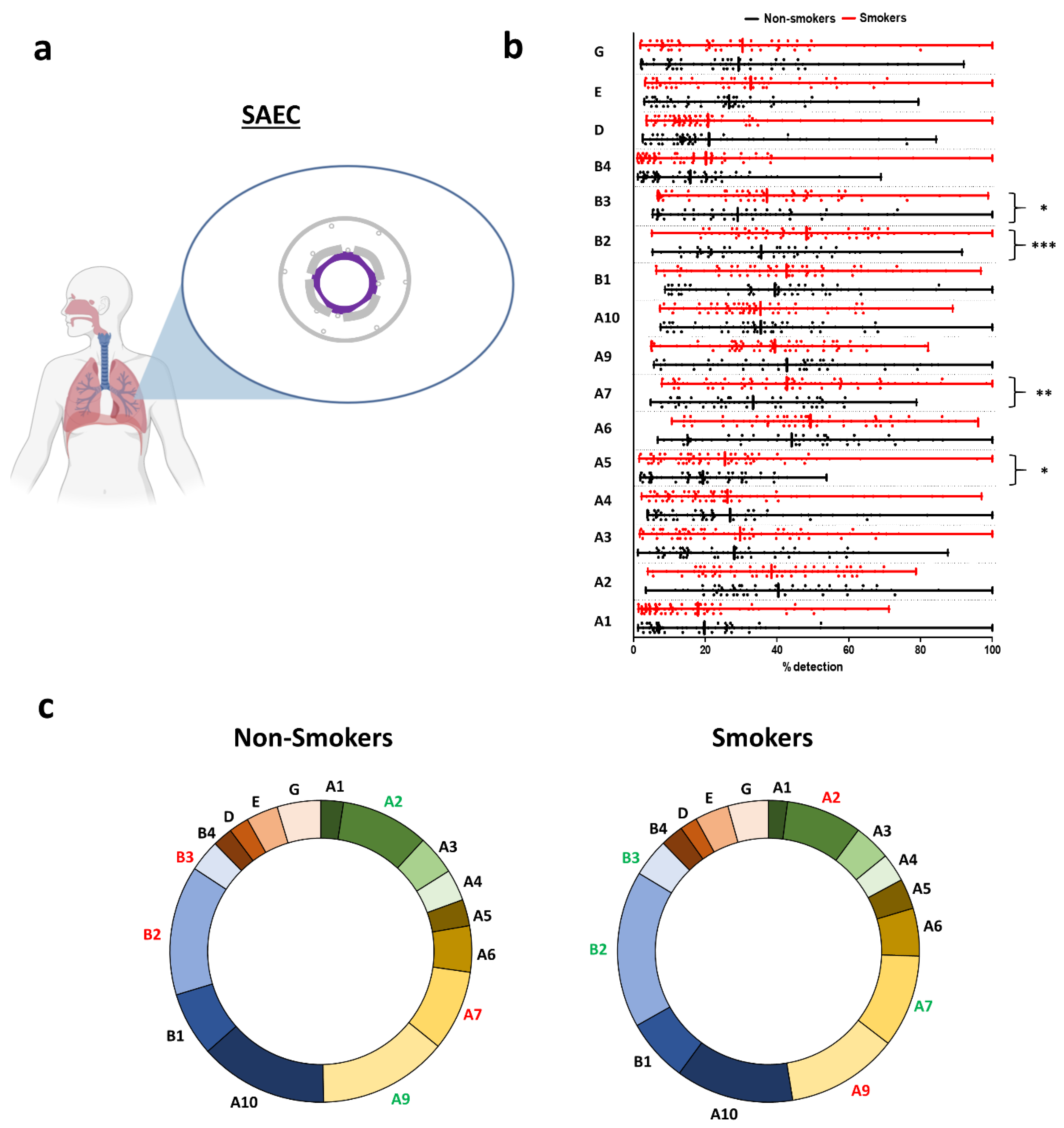 Ijms 21 07446 g003 Ijms 21 07446 g003