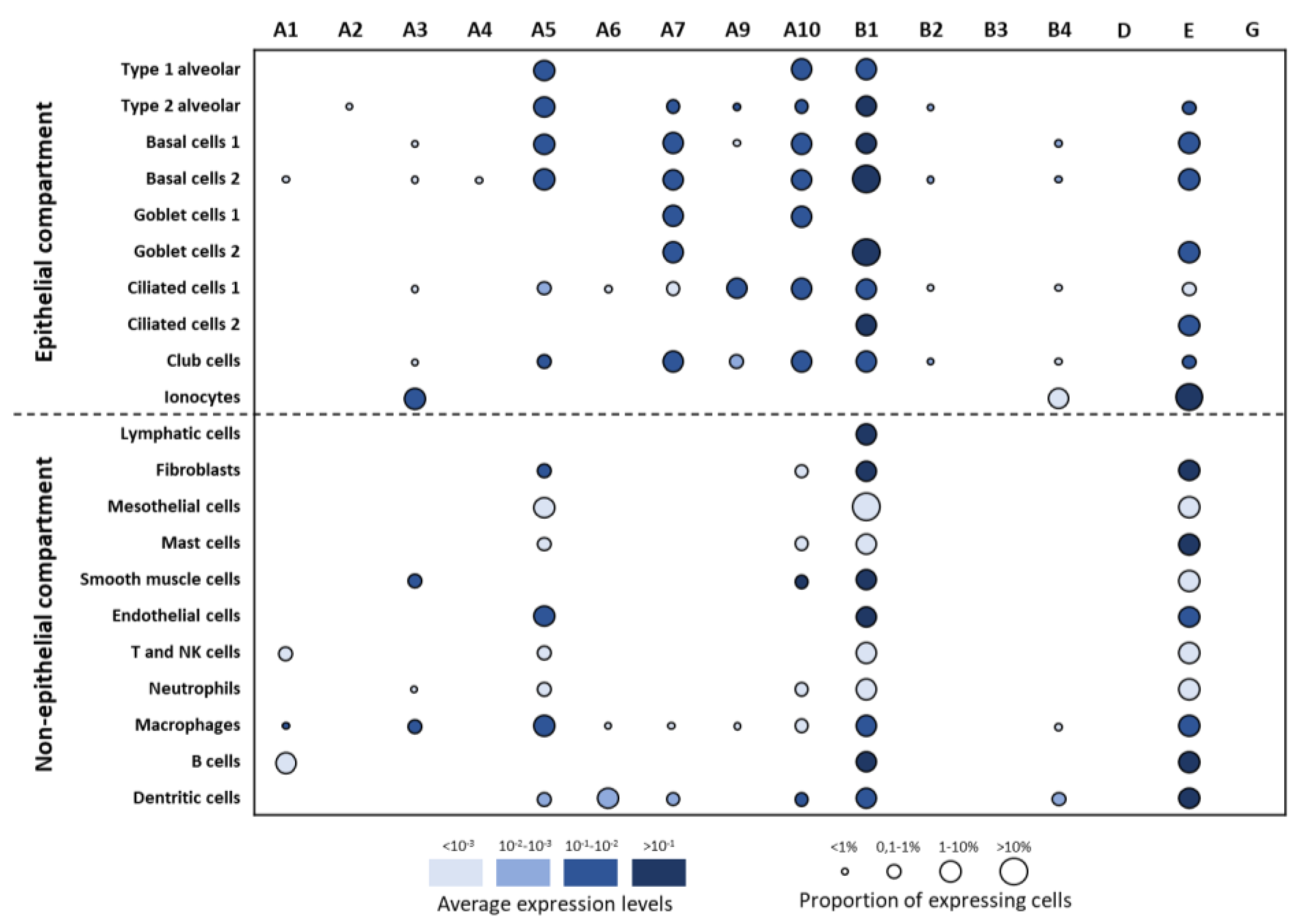 Ijms 21 07446 g004 Ijms 21 07446 g004